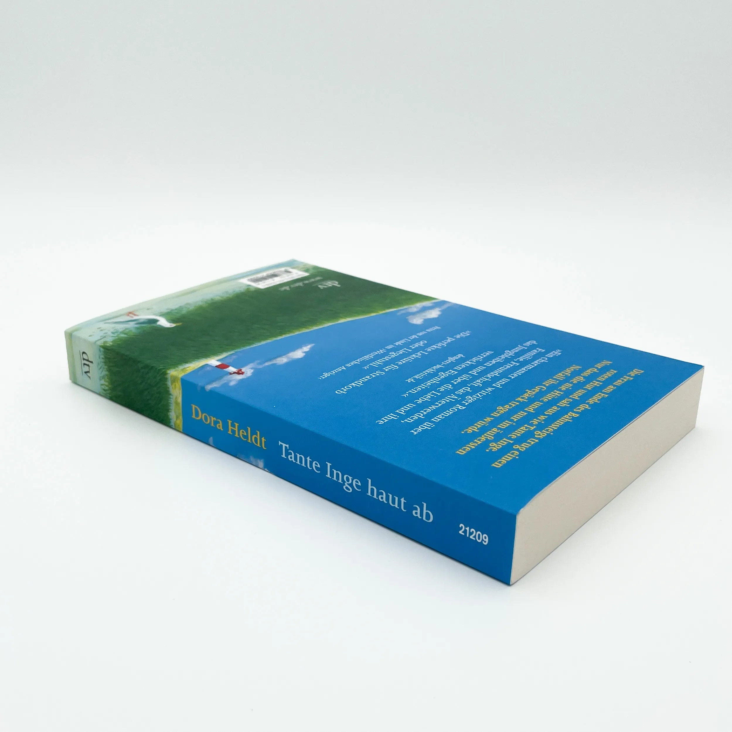 Produktansicht: Tante Inge haut ab (Taschenbuch)
