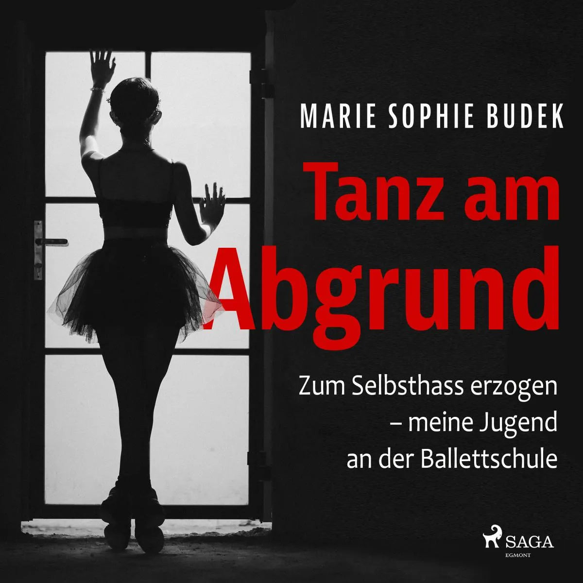 Cover: Tanz am Abgrund - Zum Selbsthass erzogen - meine Jugend an der Ballettschule (Hörbuch Download) von Marie Sophie Budek