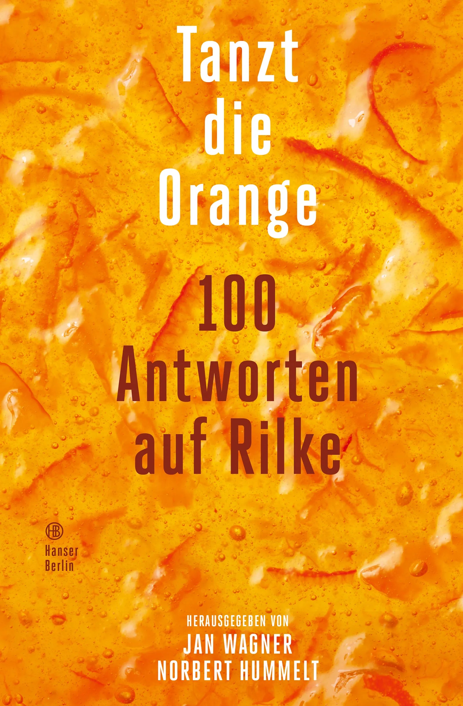 Buchcover von 'Tanzt die Orange' - Gebundene Ausgabe von Jan Wagner