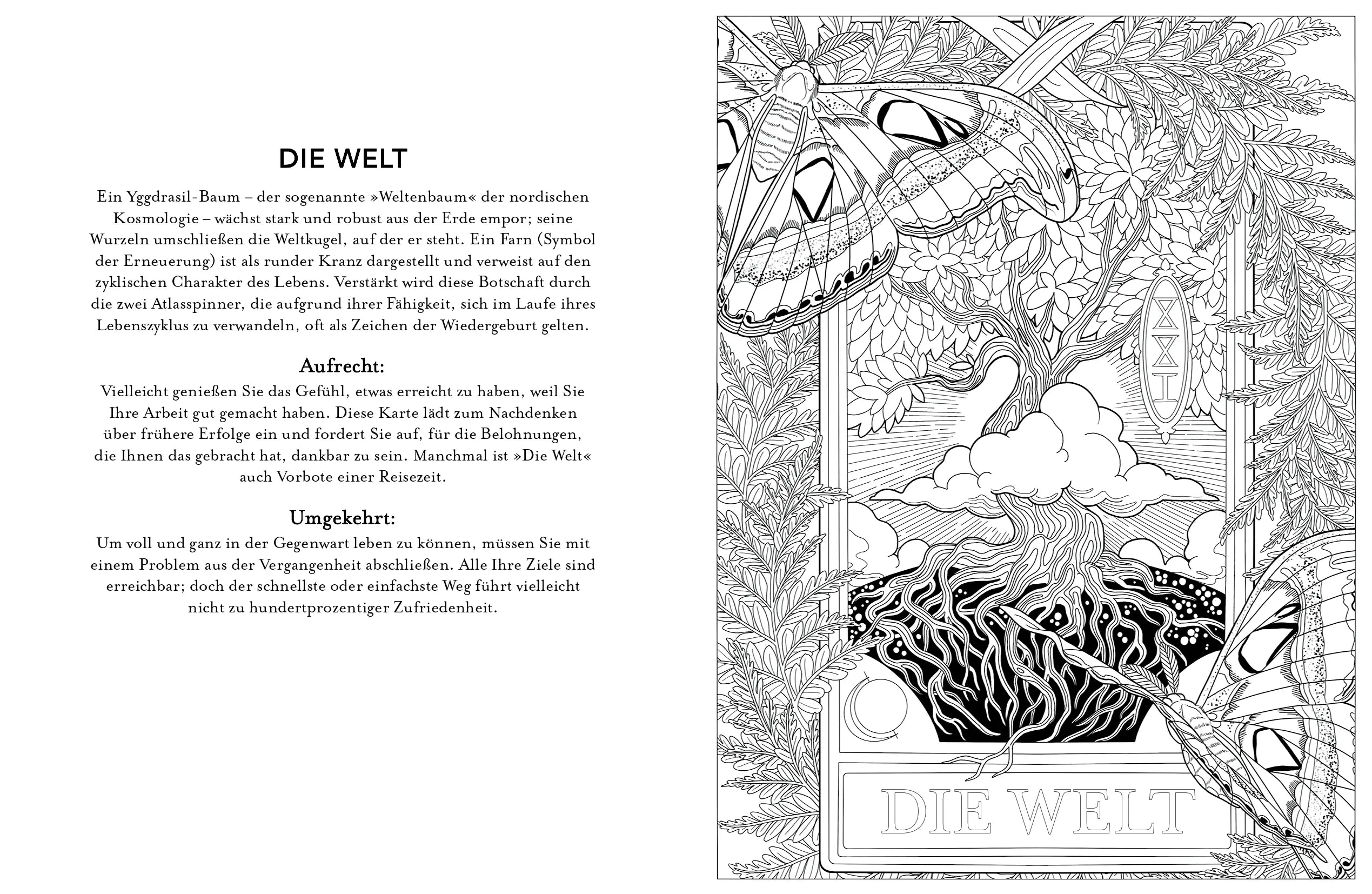 Innenansicht von 'Tarot-Malbuch' - Taschenbuch
