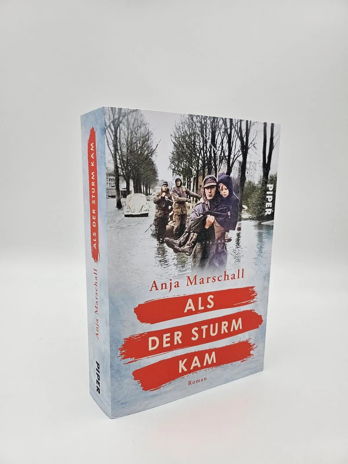 Abbildung von 'Als der Sturm kam'