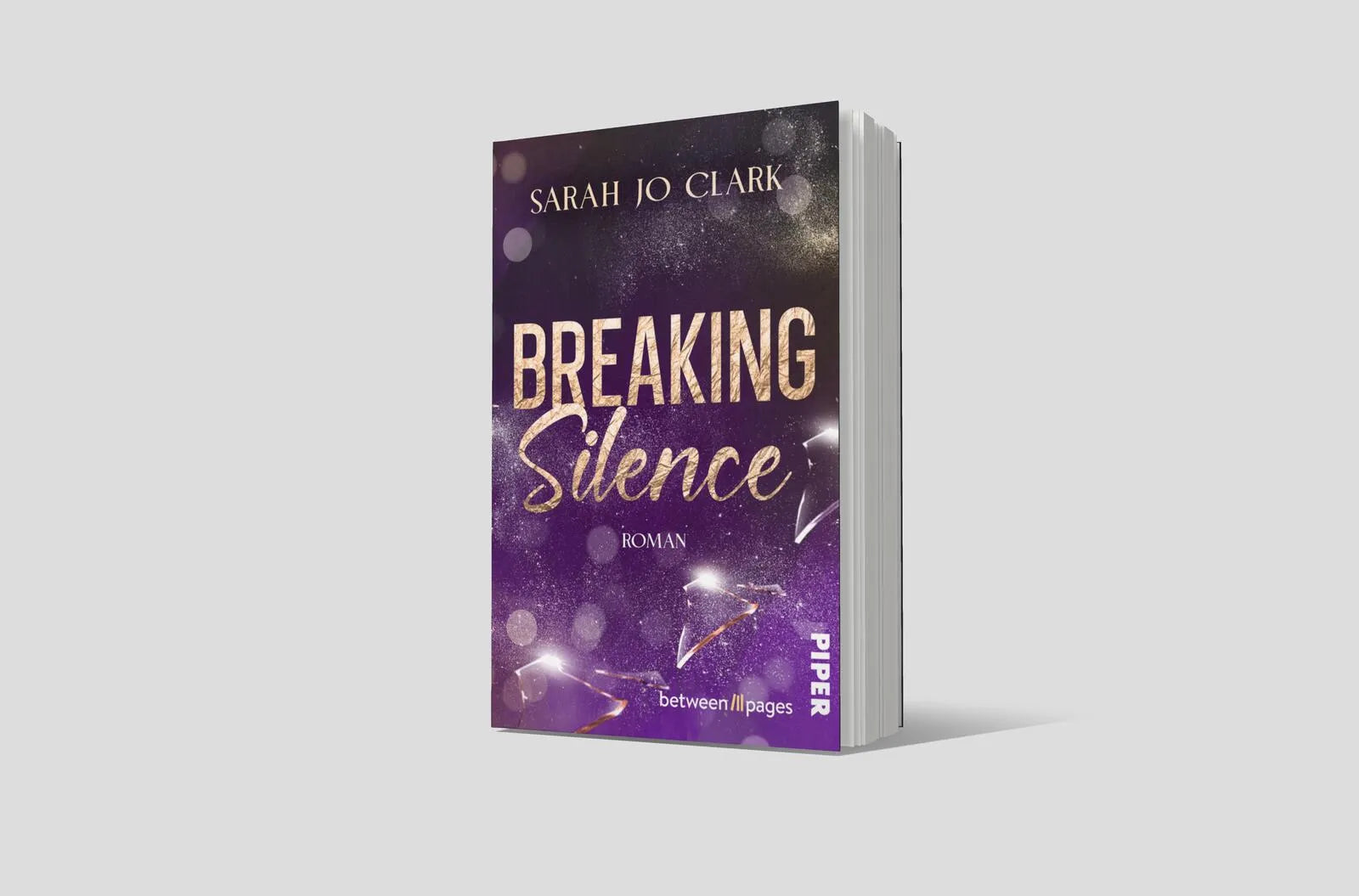 Abbildung von 'Breaking Silence'