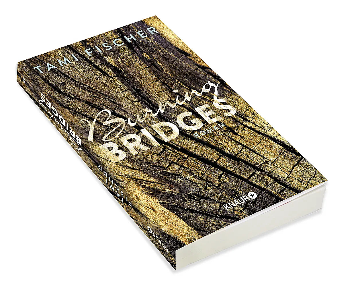 Abbildung von 'Burning Bridges'