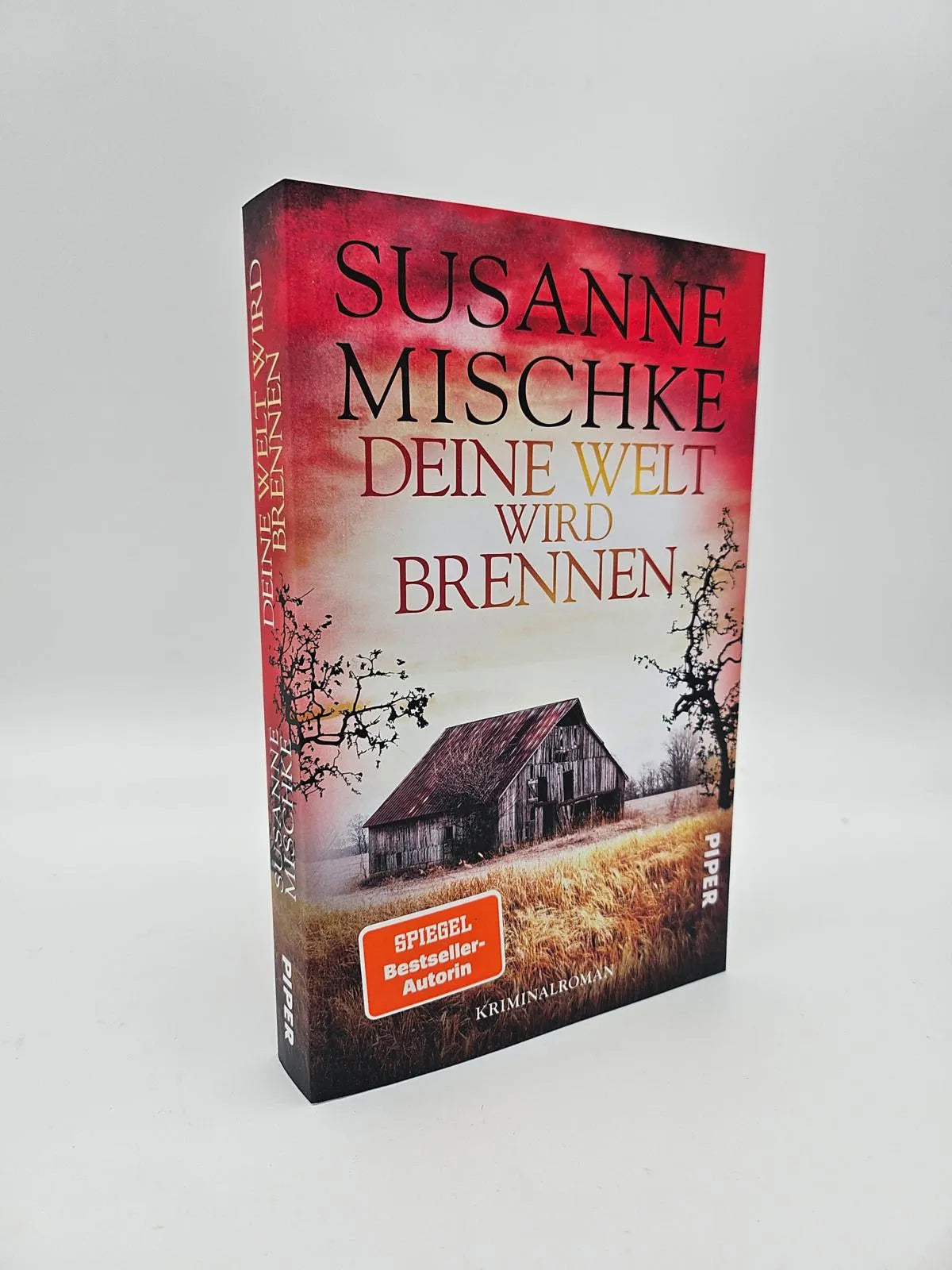 Abbildung von 'Deine Welt wird brennen'