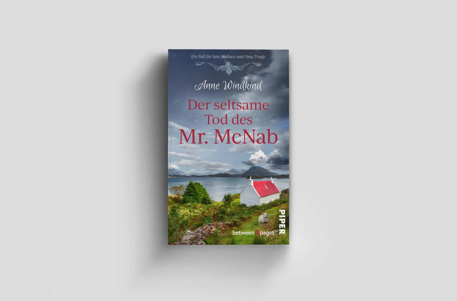 Abbildung von 'Der seltsame Tod des Mr McNab'