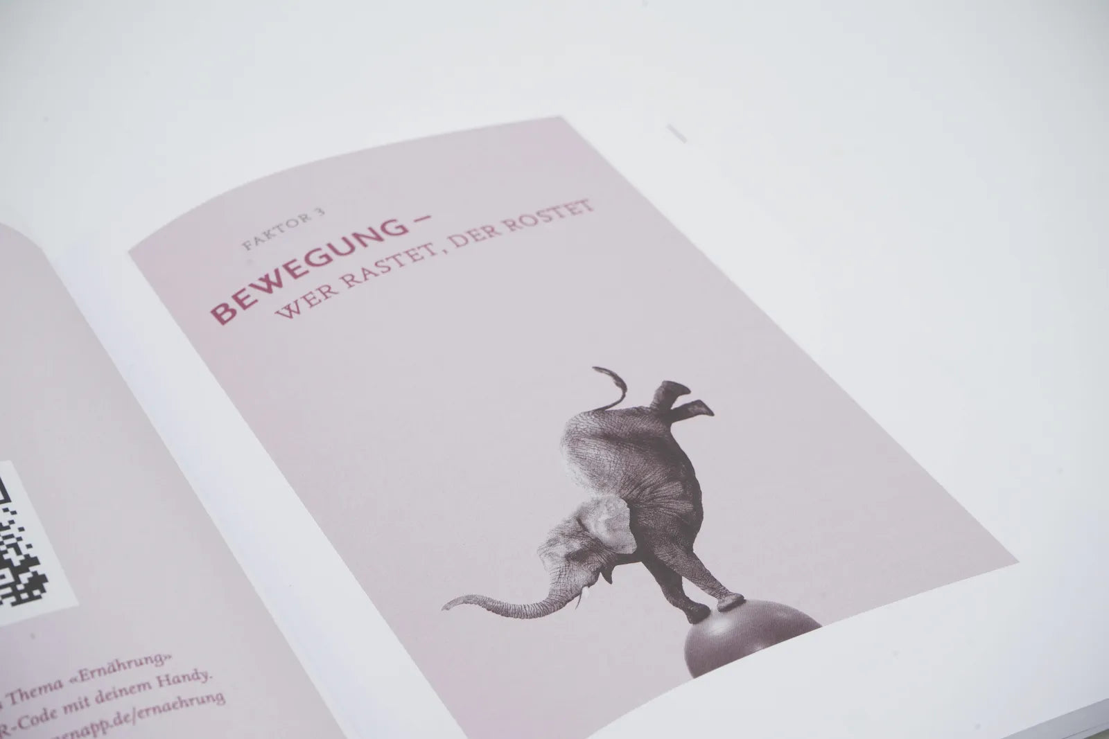 Abbildung von 'Die Jungbrunnen-Formel - Das Praxisbuch'