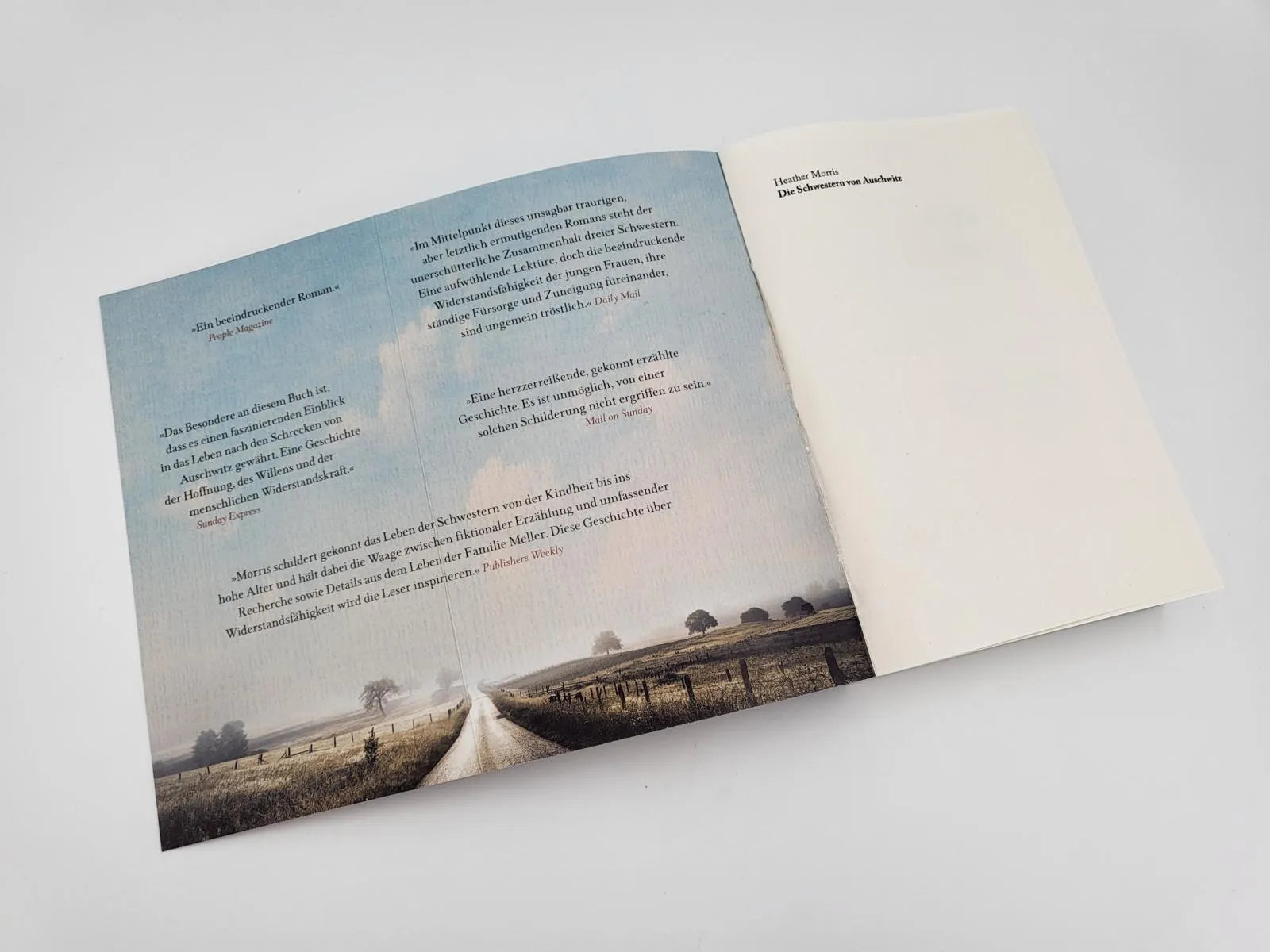Abbildung von 'Die Schwestern von Auschwitz'
