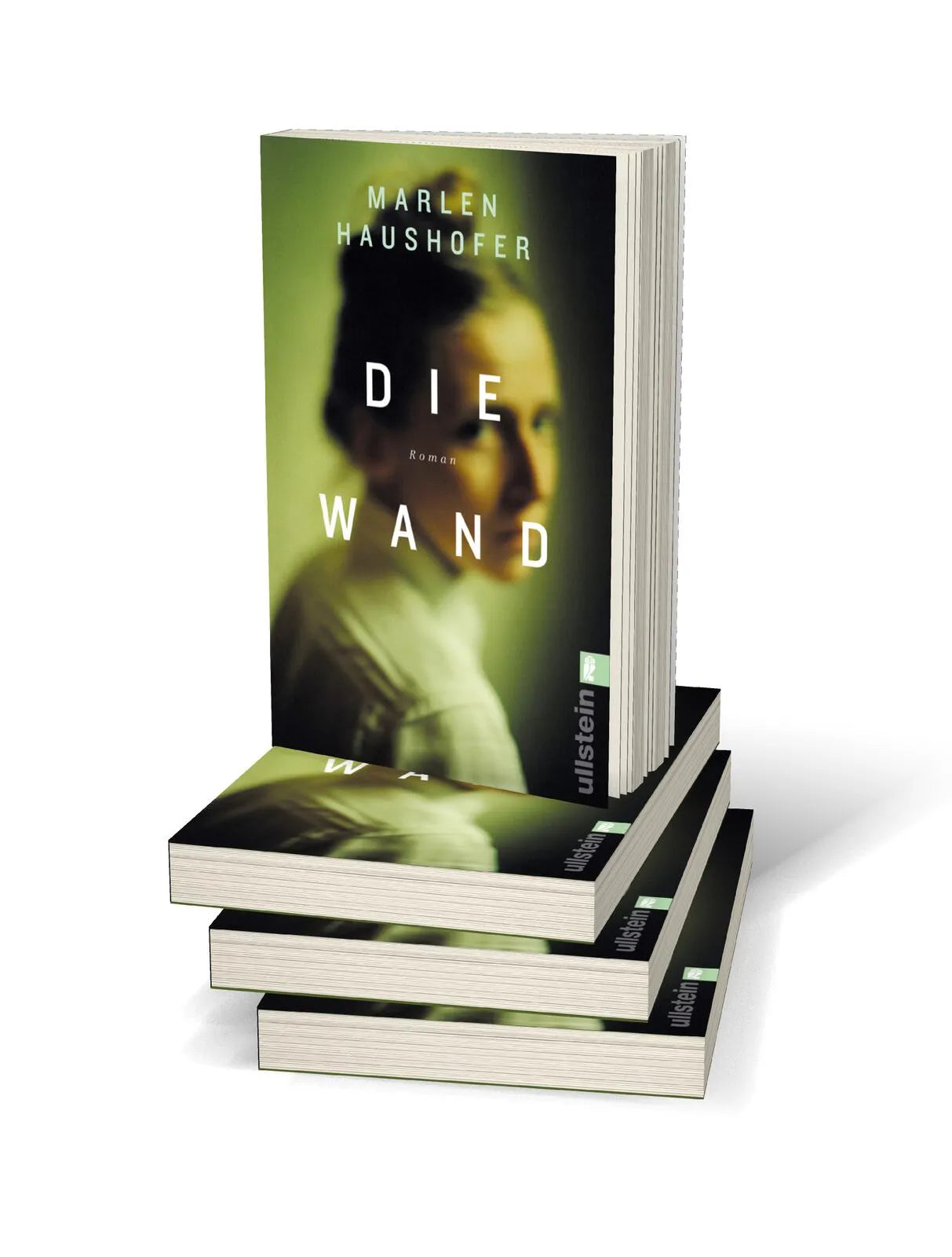 Abbildung von 'Die Wand'