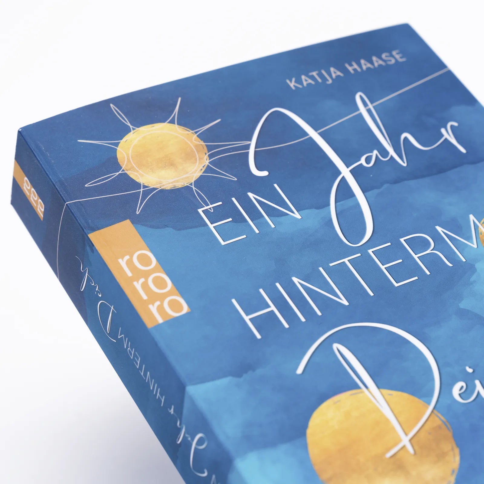 Abbildung von 'Ein Jahr hinterm Deich'