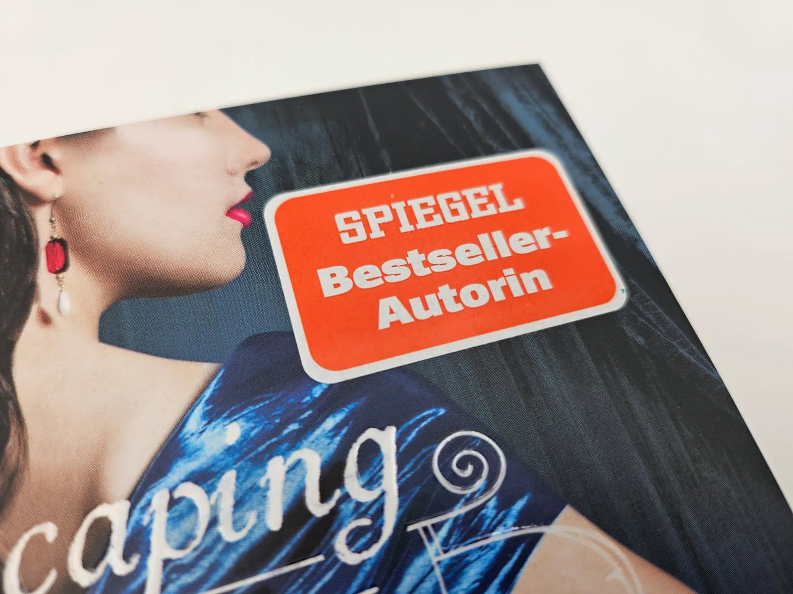 Abbildung von 'Escaping from Houdini'