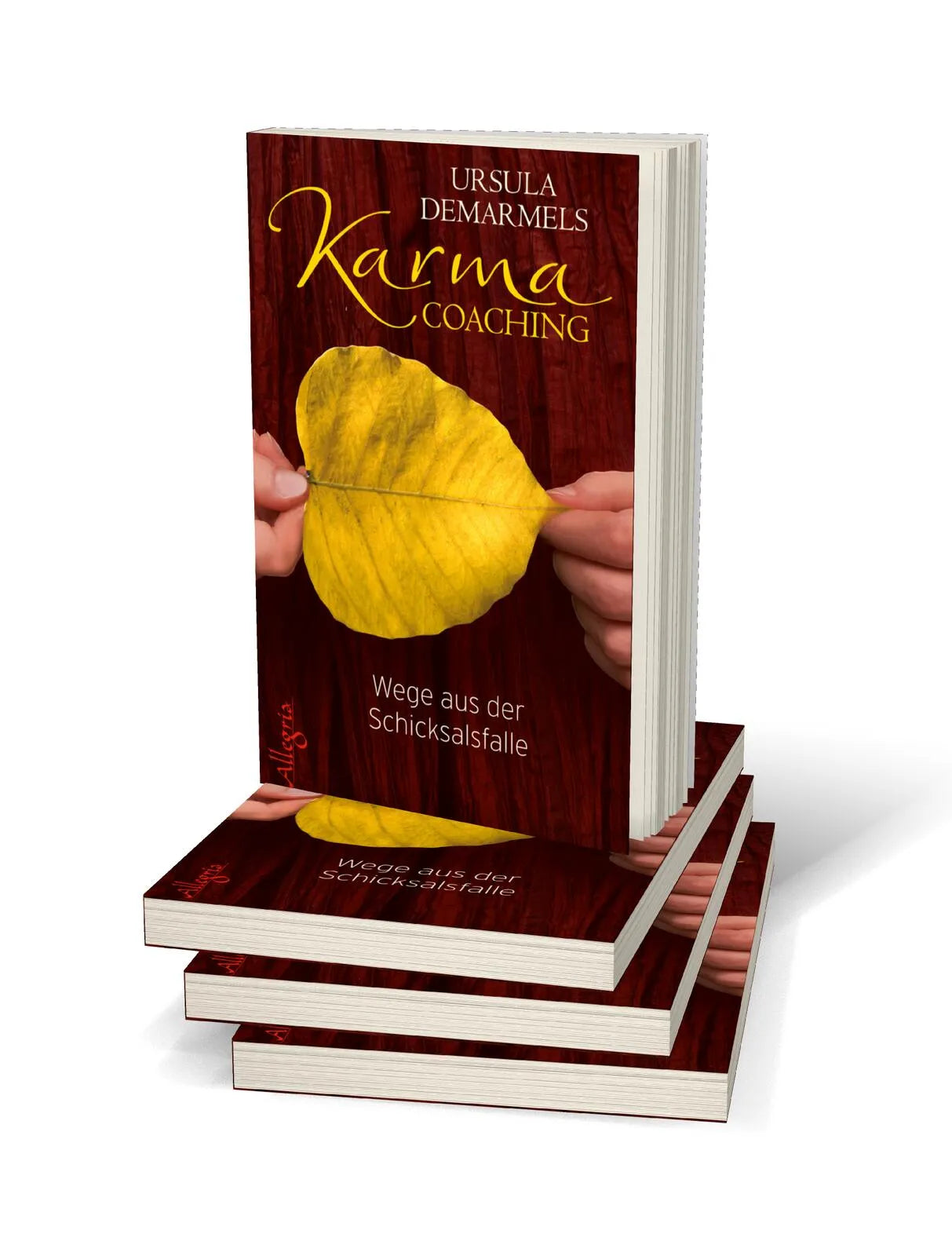 Abbildung von 'Karma-Coaching'