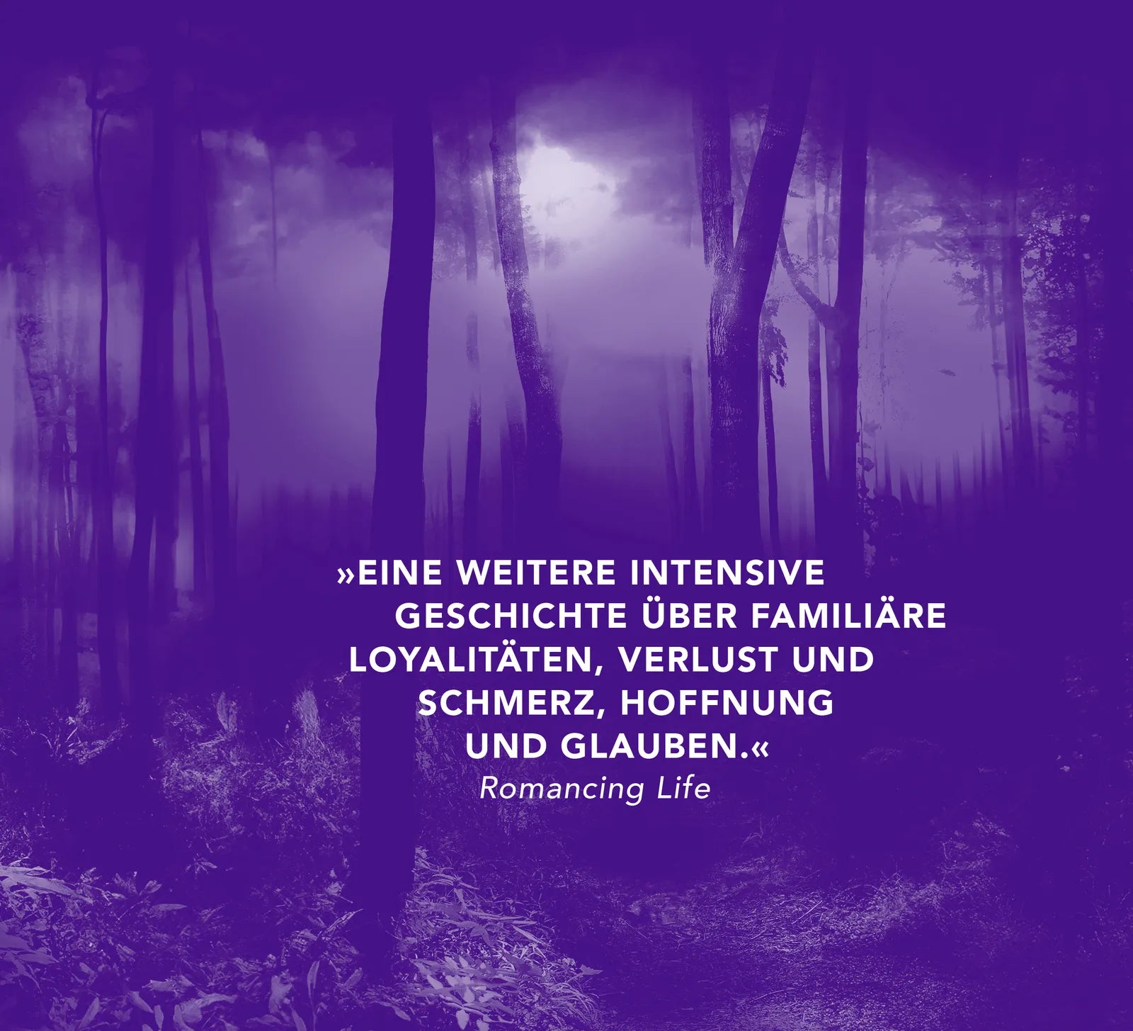 Abbildung von 'Merciful Silence - Du sollst nicht lügen'