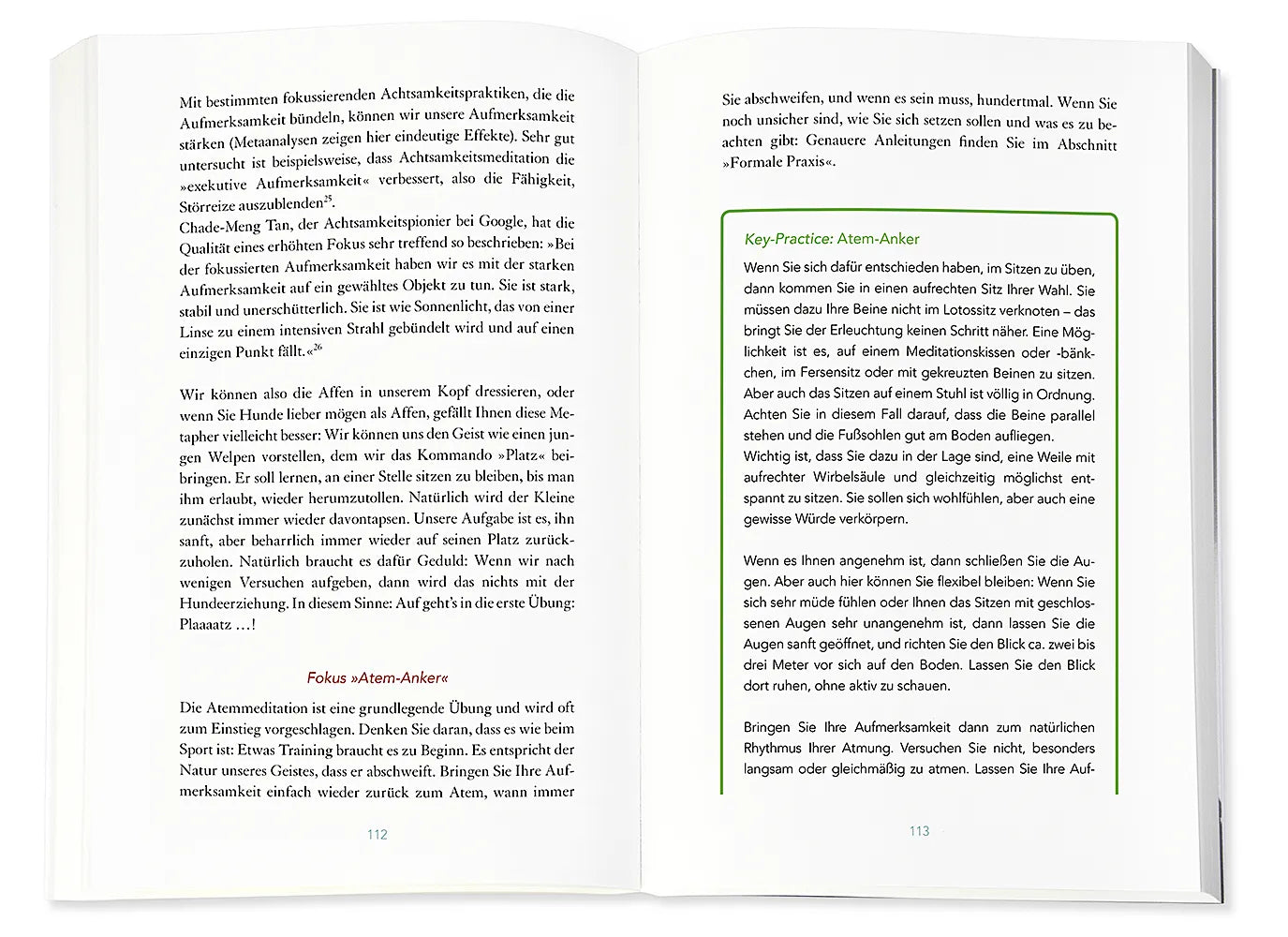 Abbildung von 'Mindful Leader'