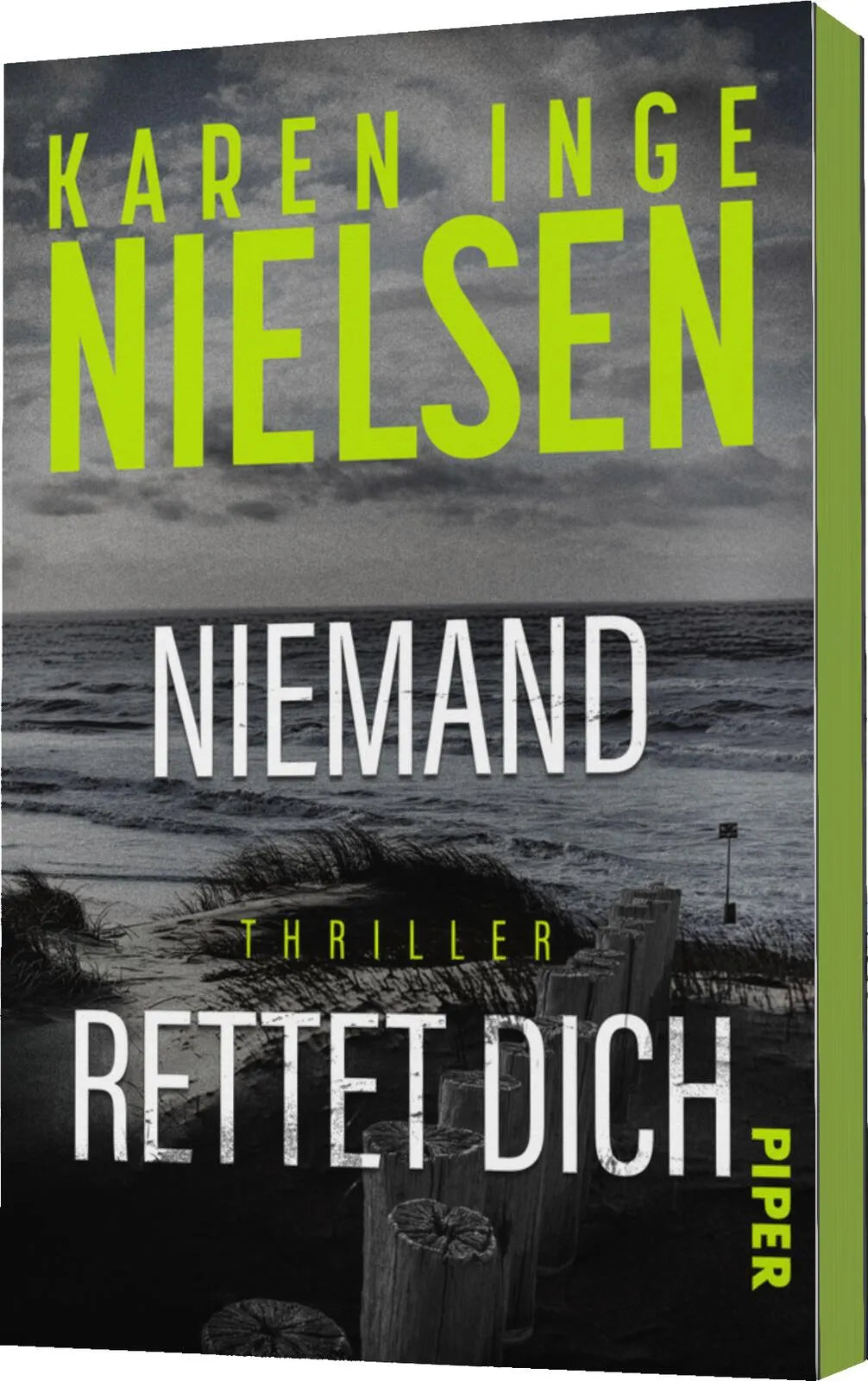 Abbildung von 'Niemand rettet dich'