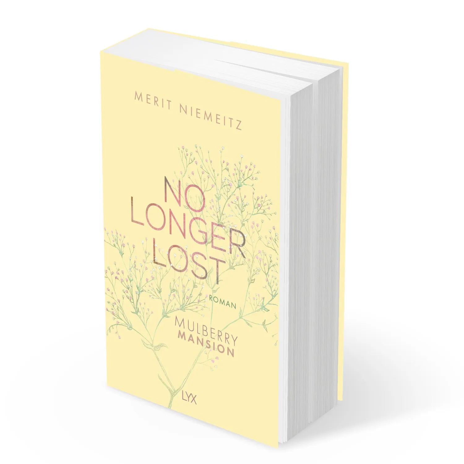 Abbildung von 'No Longer Lost - Mulberry Mansion'