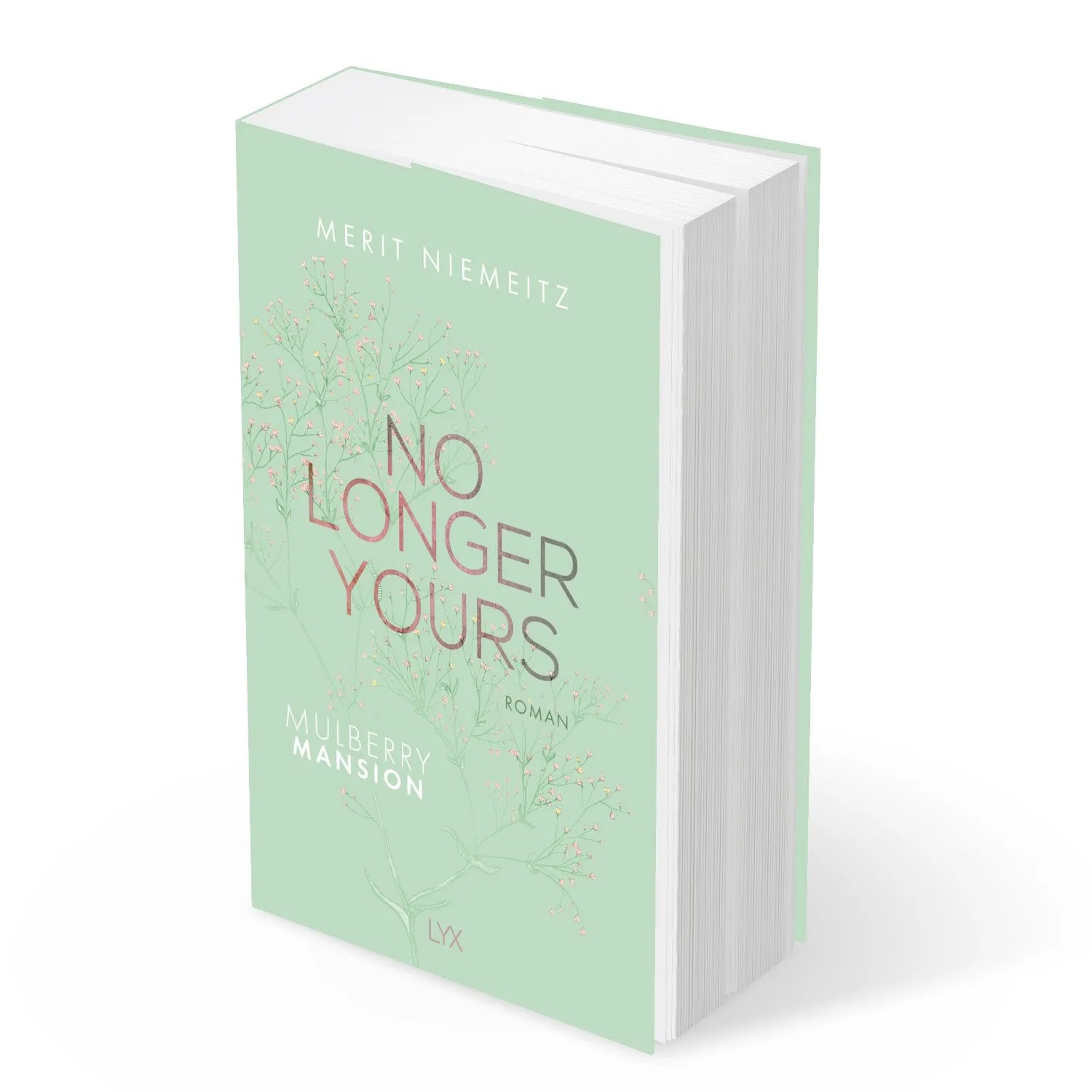 Abbildung von 'No Longer Yours - Mulberry Mansion'