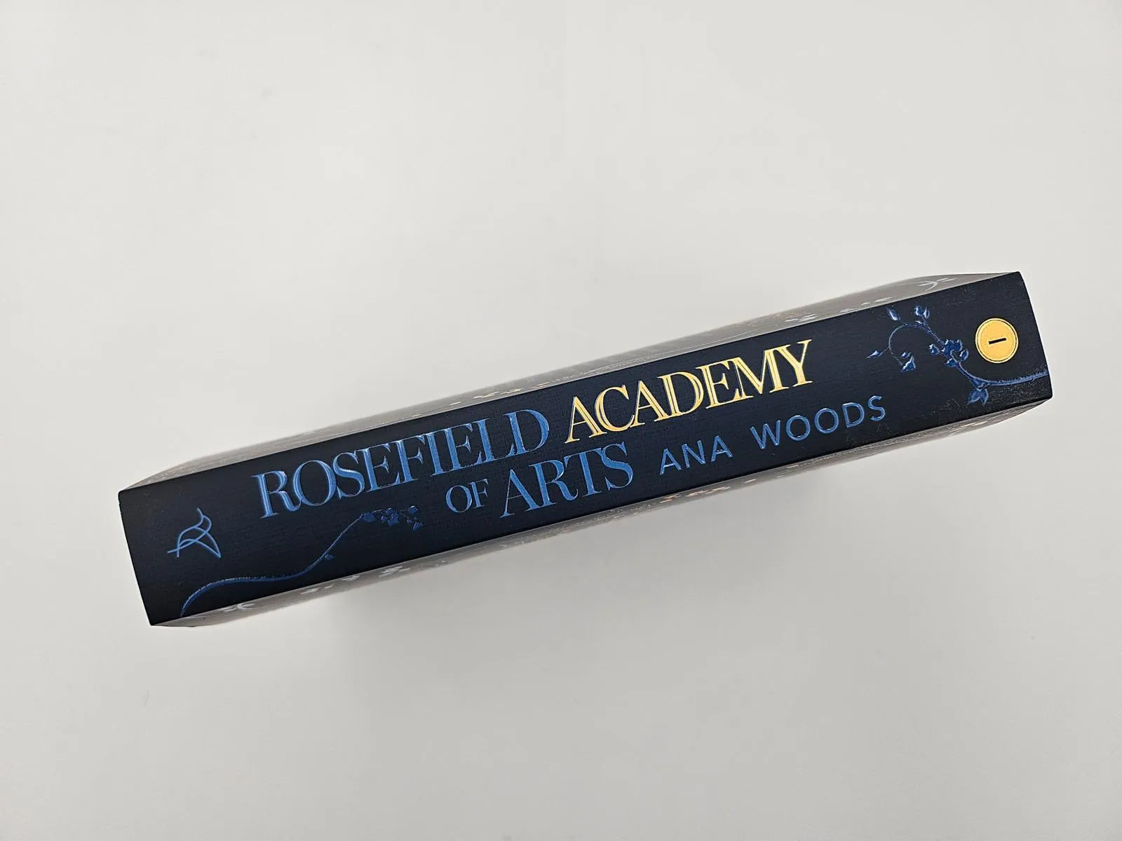 Abbildung von 'Rosefield Academy of Arts – The Secrets We Keep'