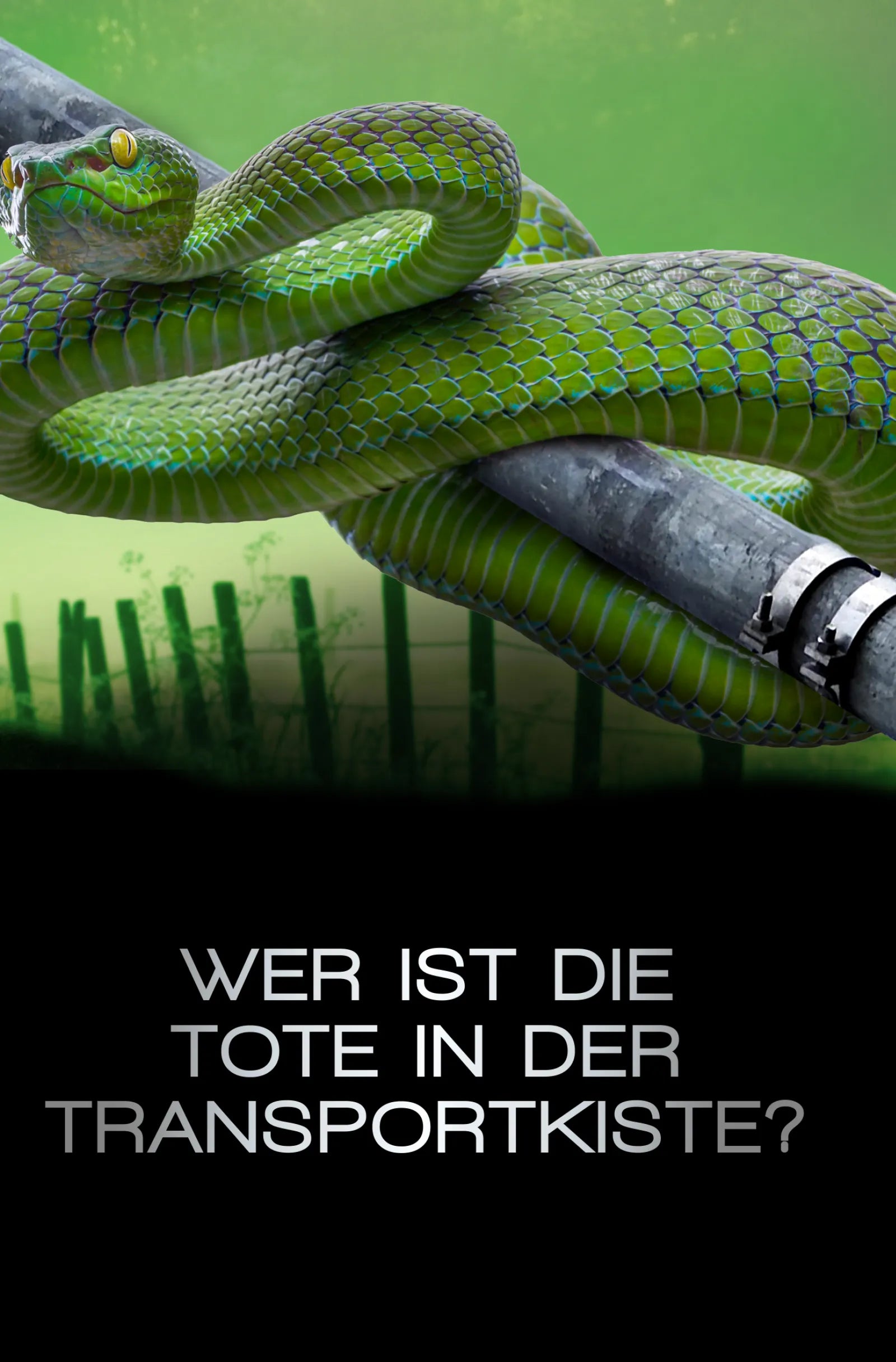 Abbildung von 'Schlangengrube'