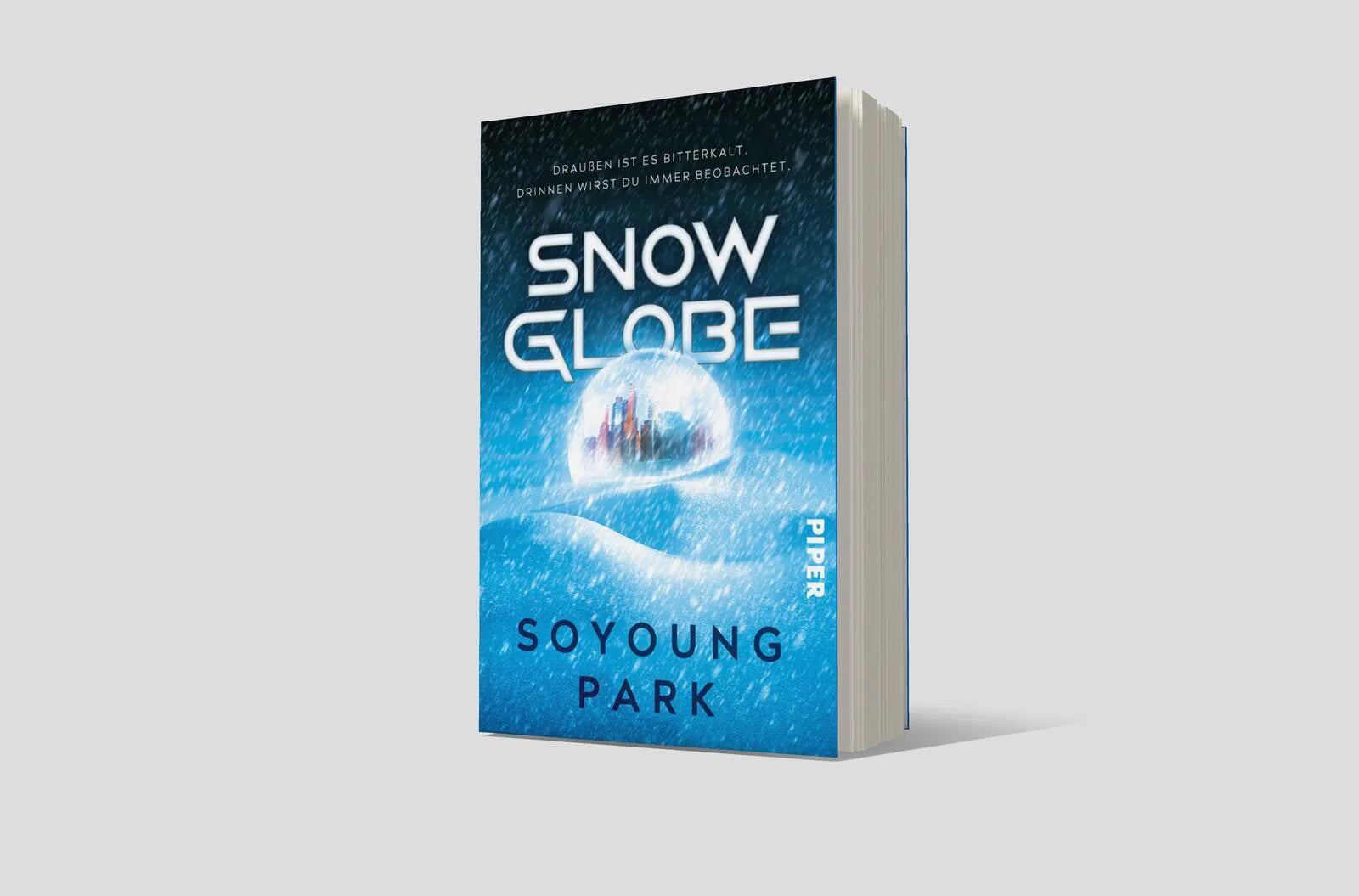 Abbildung von 'Snowglobe'
