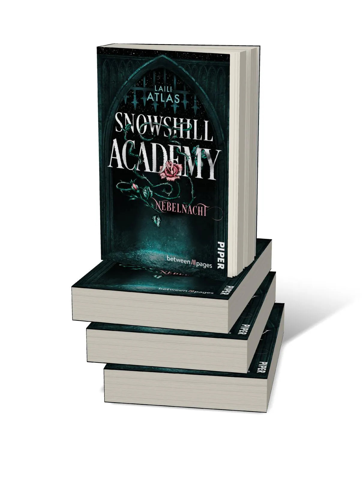 Abbildung von 'Snowshill Academy – Nebelnacht'