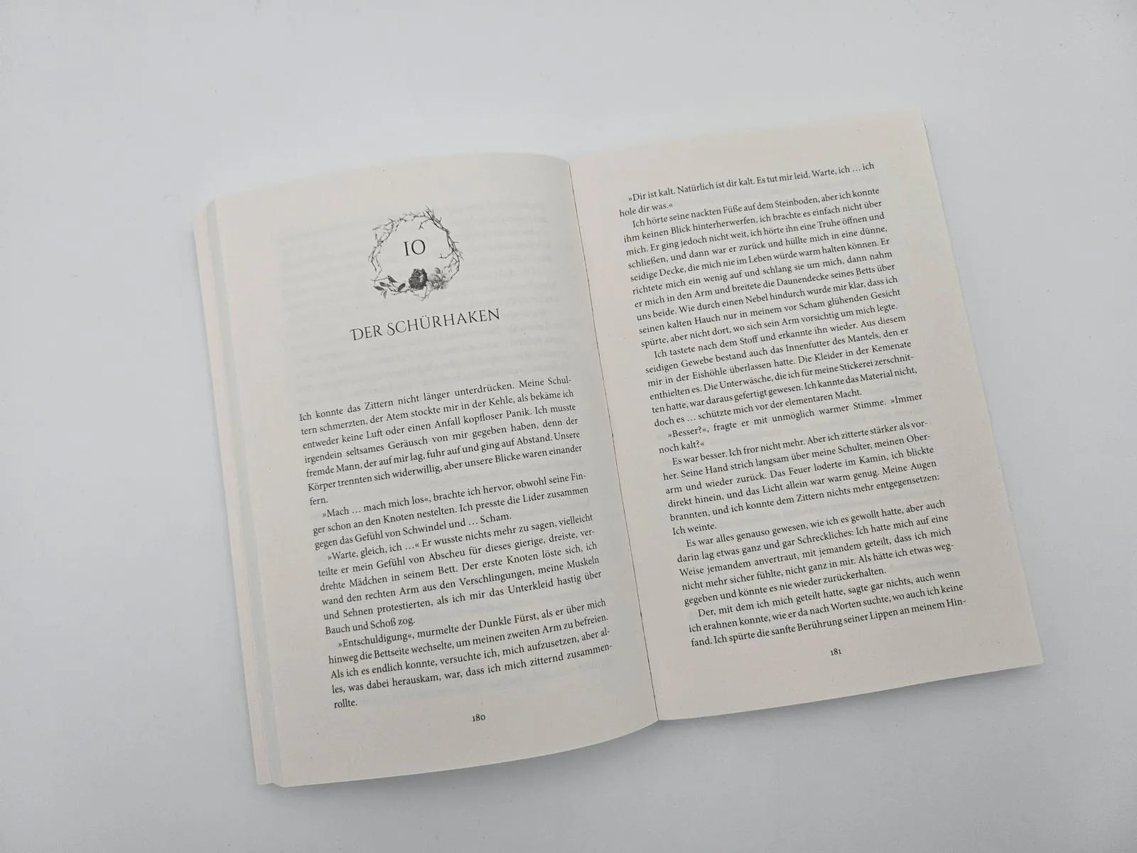 Abbildung von 'The Icebound Kingdom'