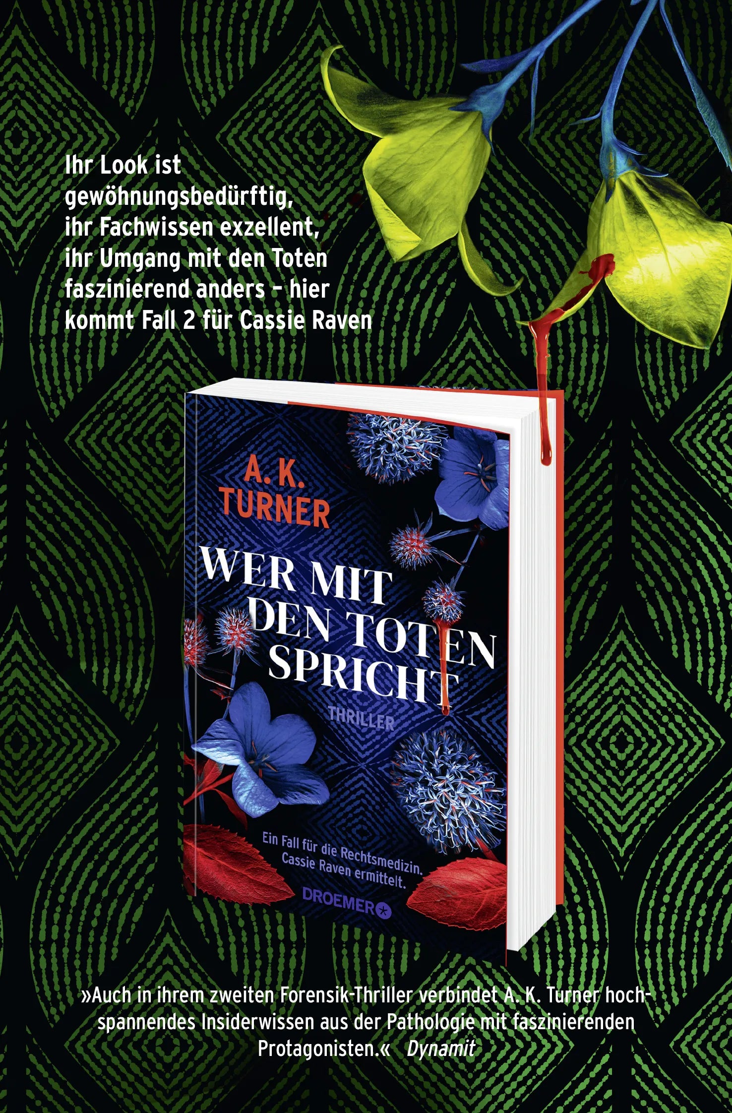Abbildung von 'Tote schweigen nie'
