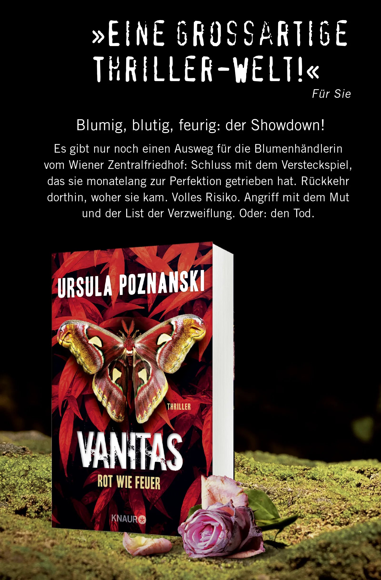 Abbildung von 'VANITAS - Grau wie Asche'