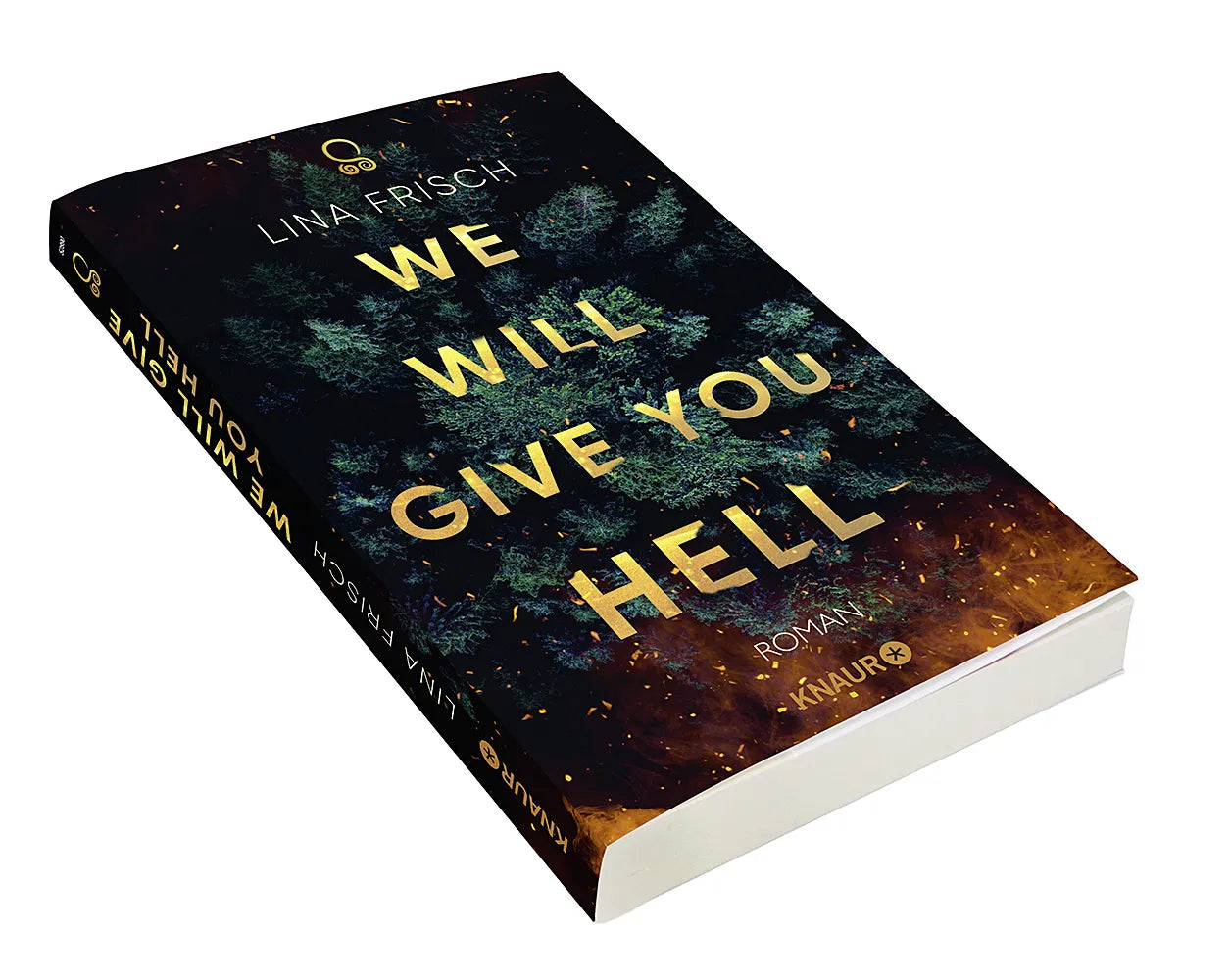 Abbildung von 'We Will Give You Hell'
