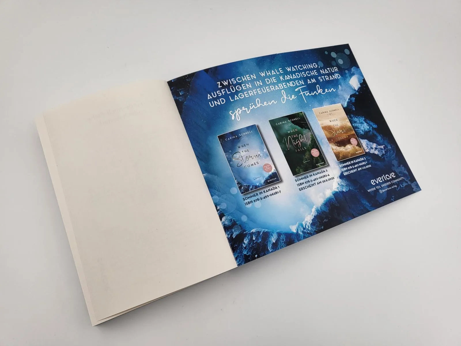 Abbildung von 'When the Storm Comes'