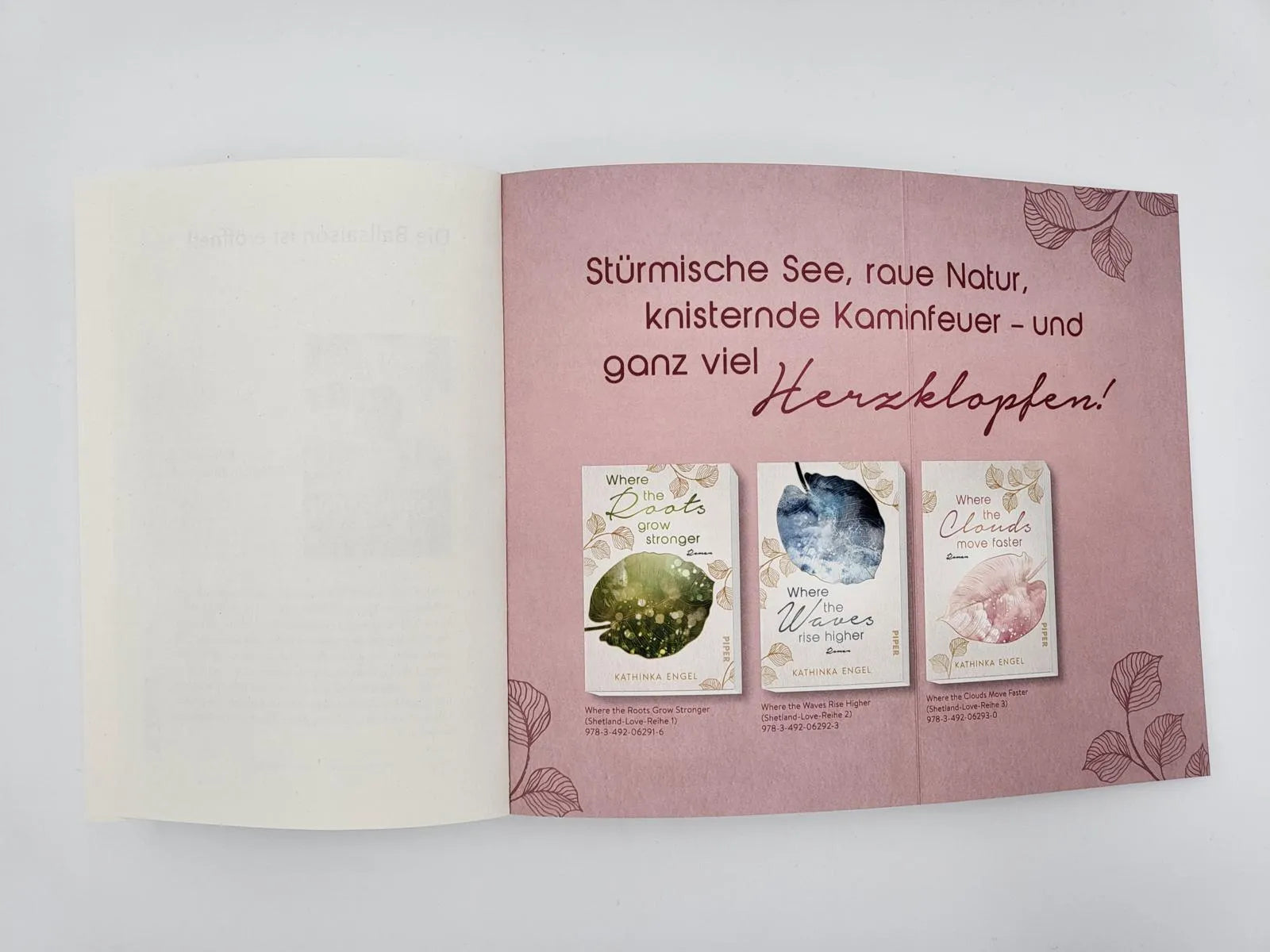 Abbildung von 'Where the Clouds Move Faster'