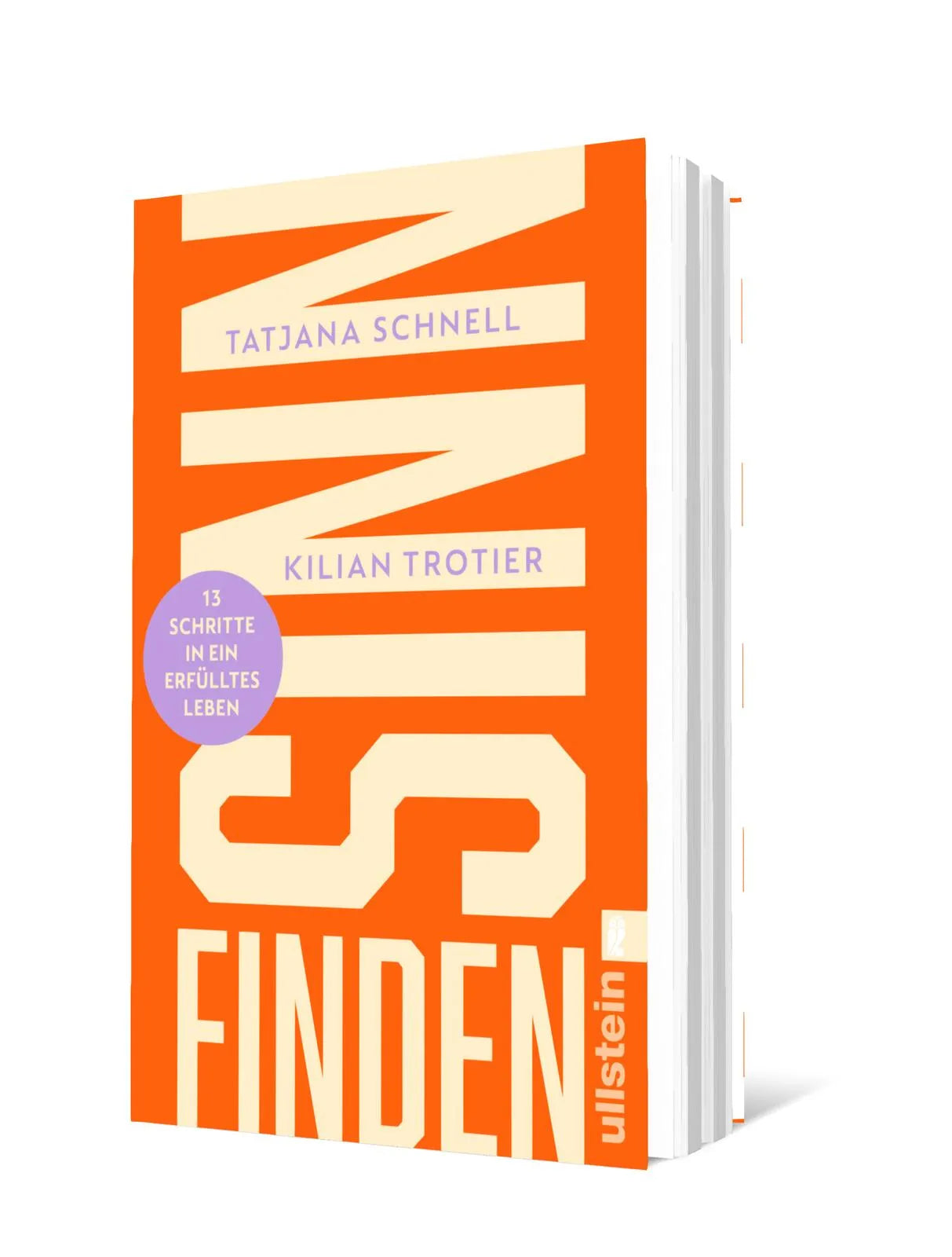 Produktansicht: Sinn finden (Taschenbuch)
