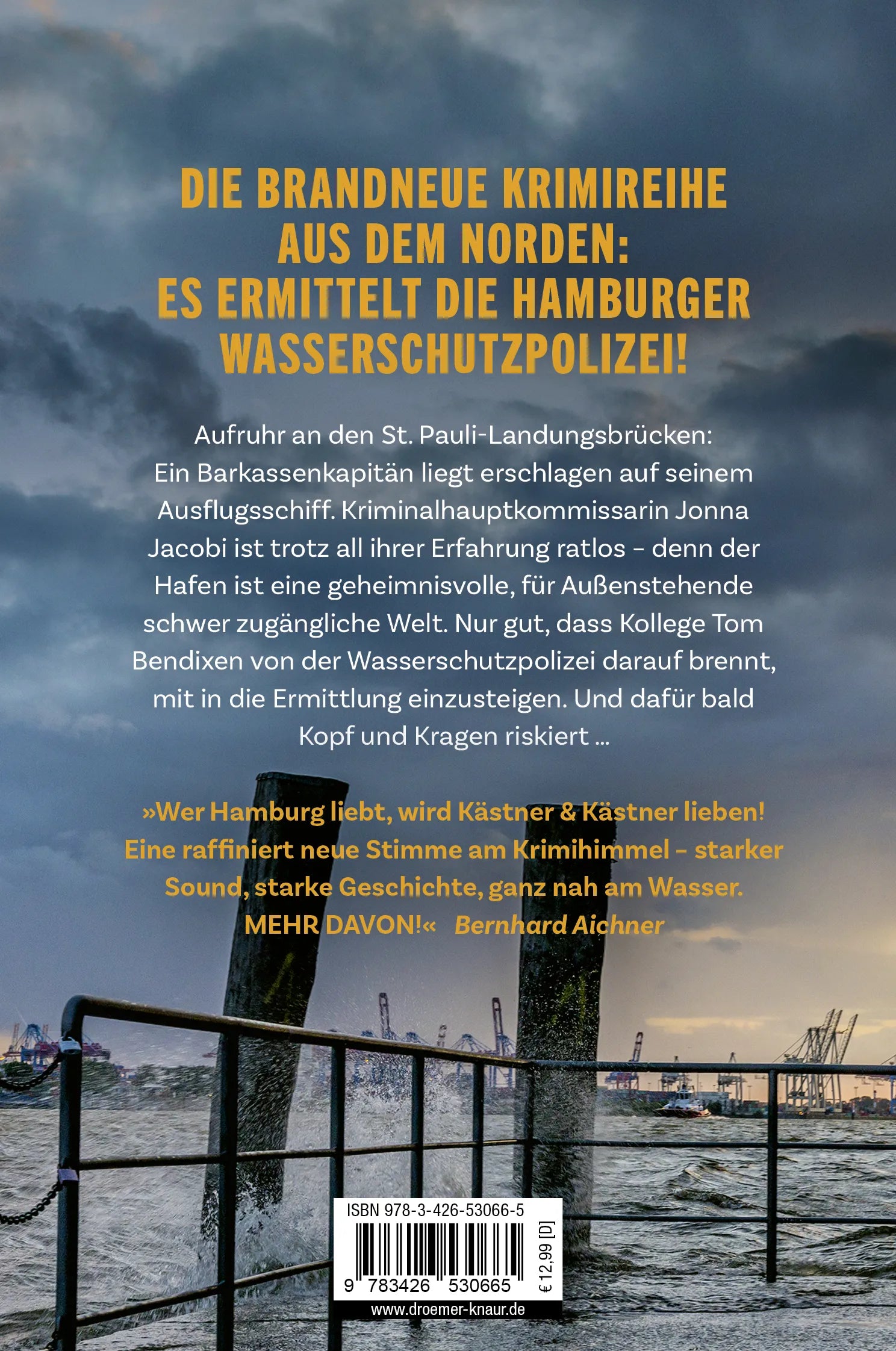 Buchrückseite von 'Tatort Hafen - Tod an den Landungsbrücken' mit Klappentext - Taschenbuch