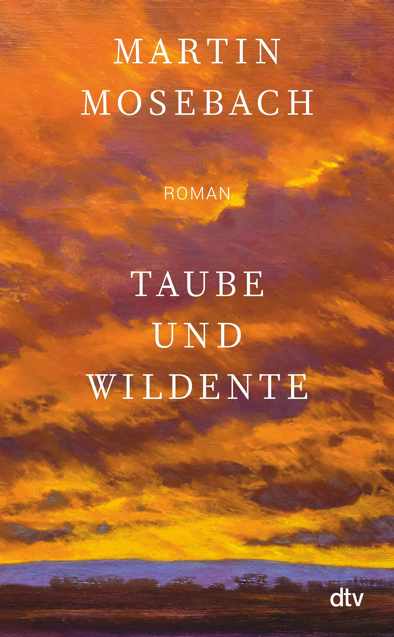 Buchcover von 'Taube und Wildente' - Gebundene Ausgabe von Martin Mosebach