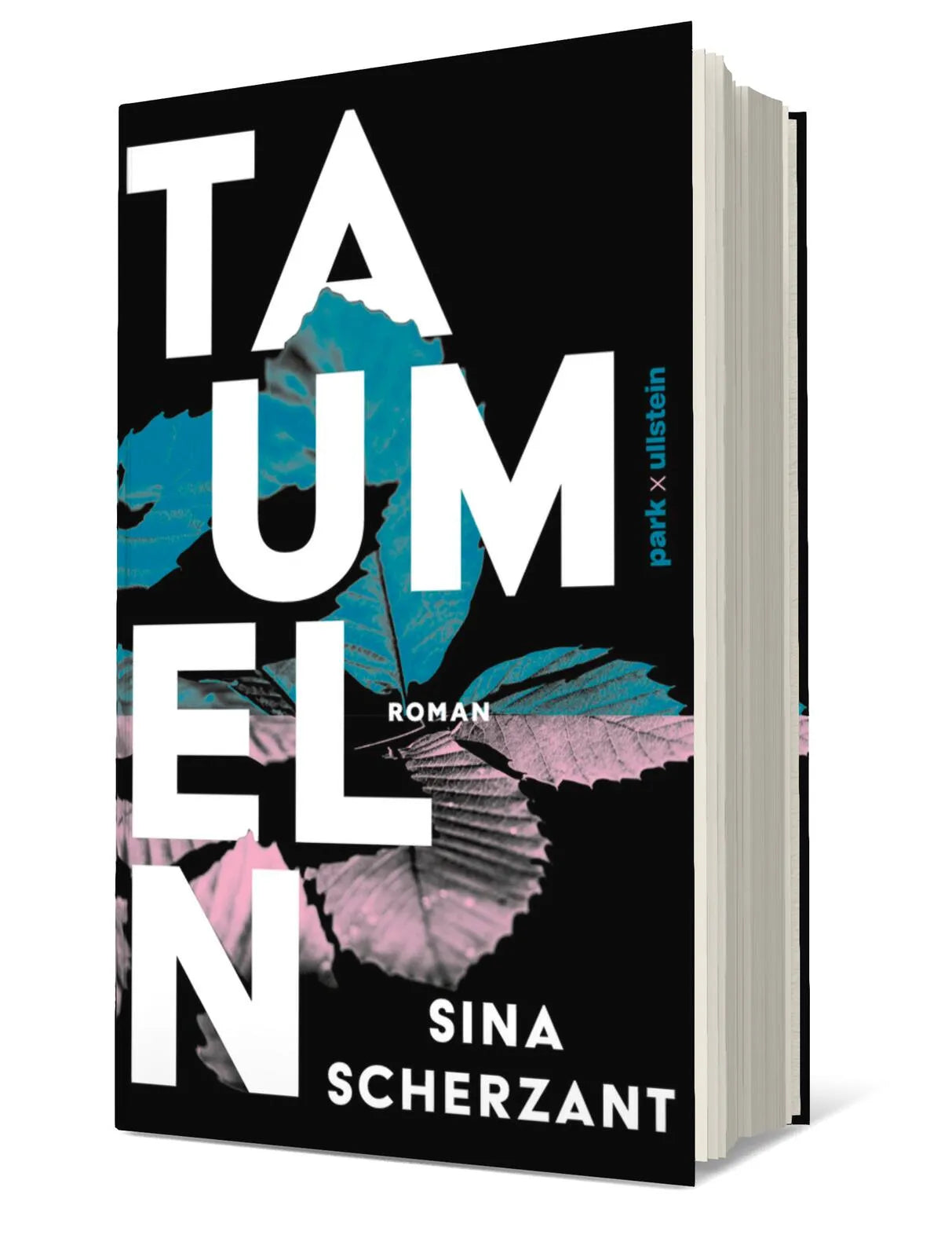 Produktansicht: Taumeln (Gebundene Ausgabe)