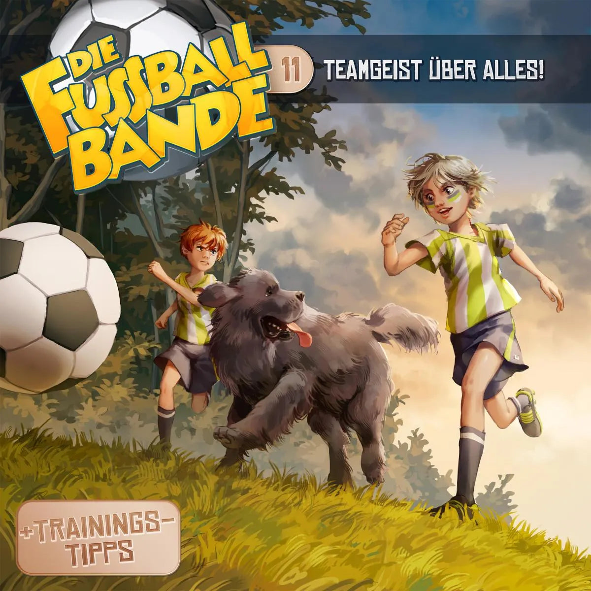 Cover: Teamgeist über alles! (Hörbuch Download) von Aikaterini Maria Schlösser