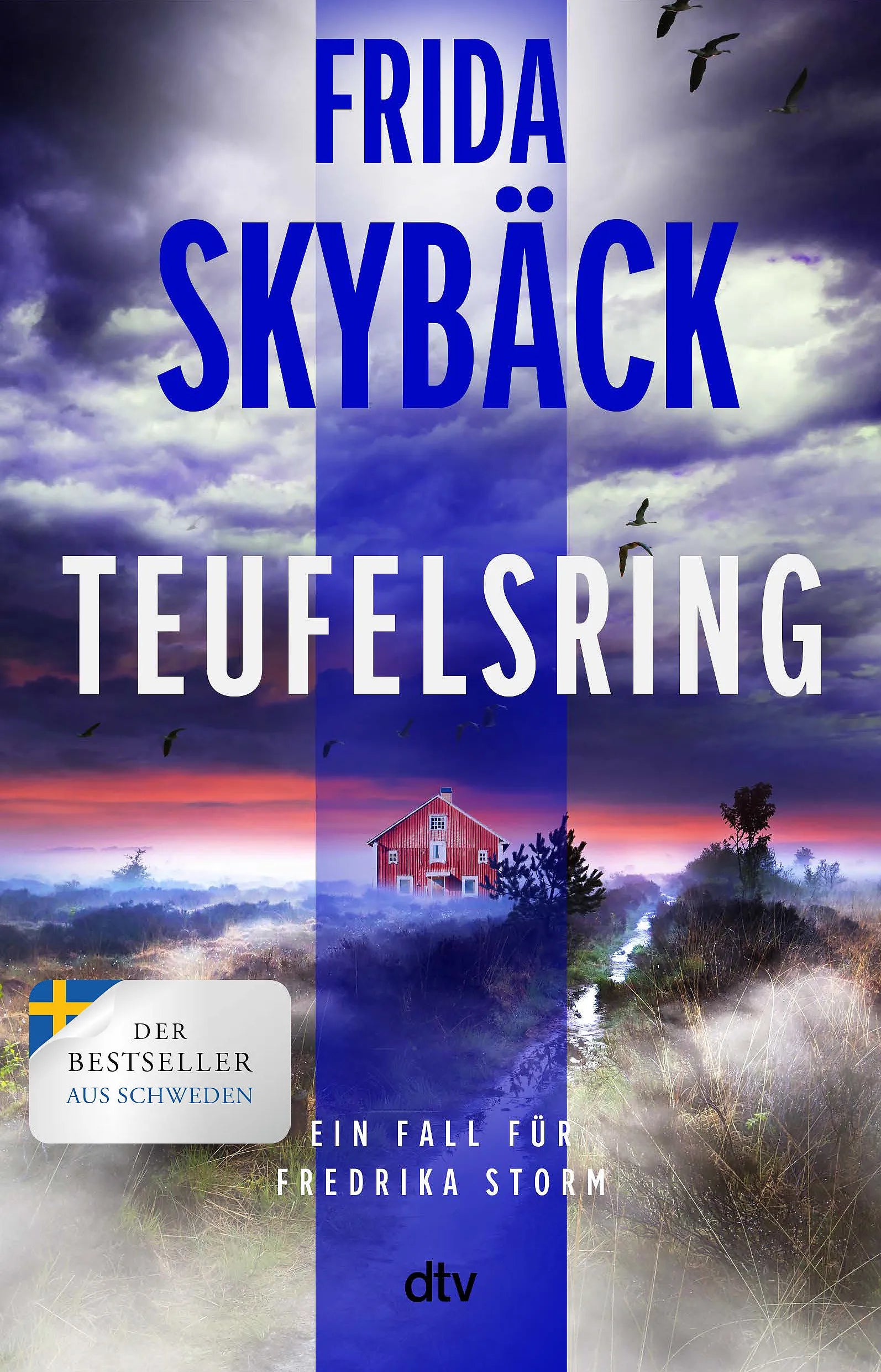 Cover: Teufelsring (Paperback) von Frida Skybäck