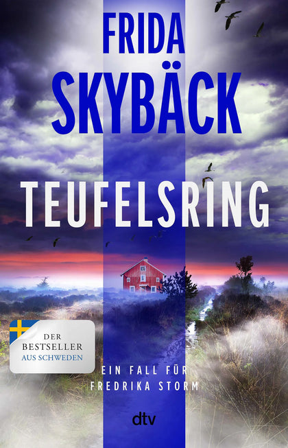 Cover: Teufelsring (Paperback) von Frida Skybäck