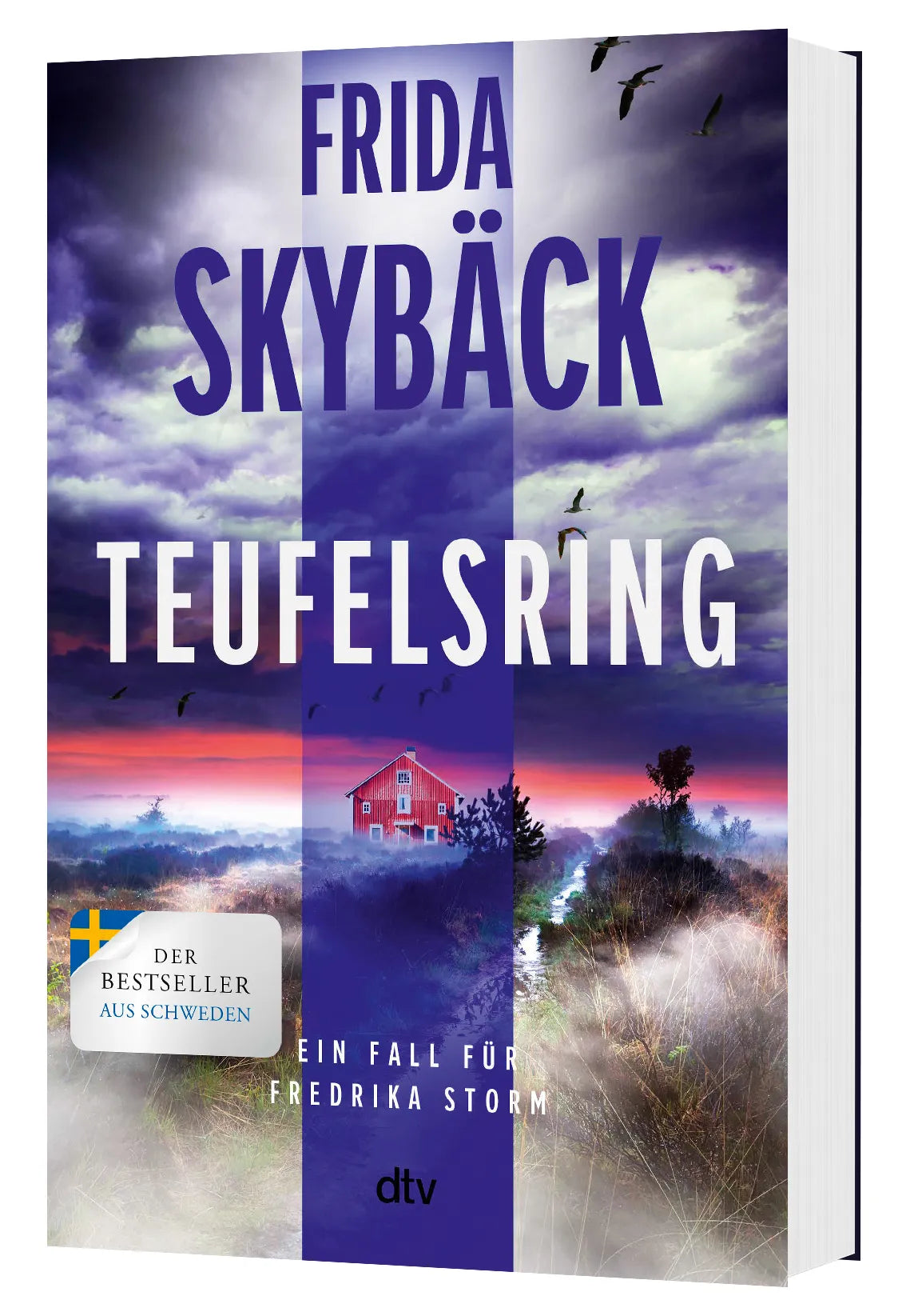 Detailansicht: Teufelsring (Paperback)