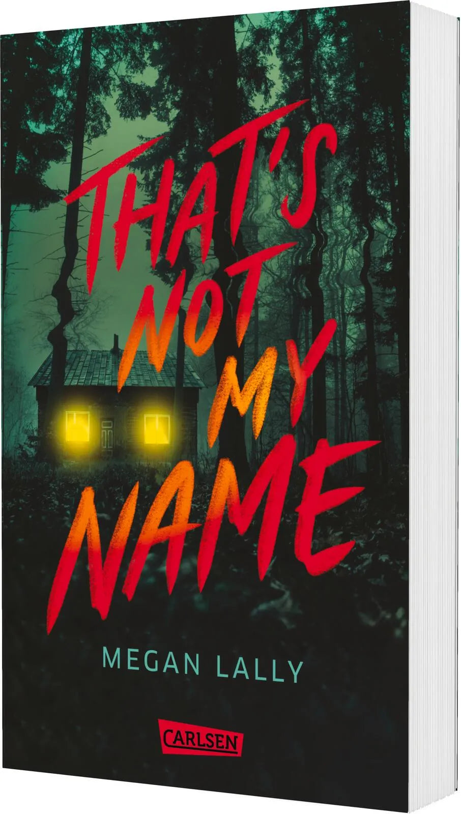 Buchcover von 'That's Not My Name' - Paperback von Megan Lally