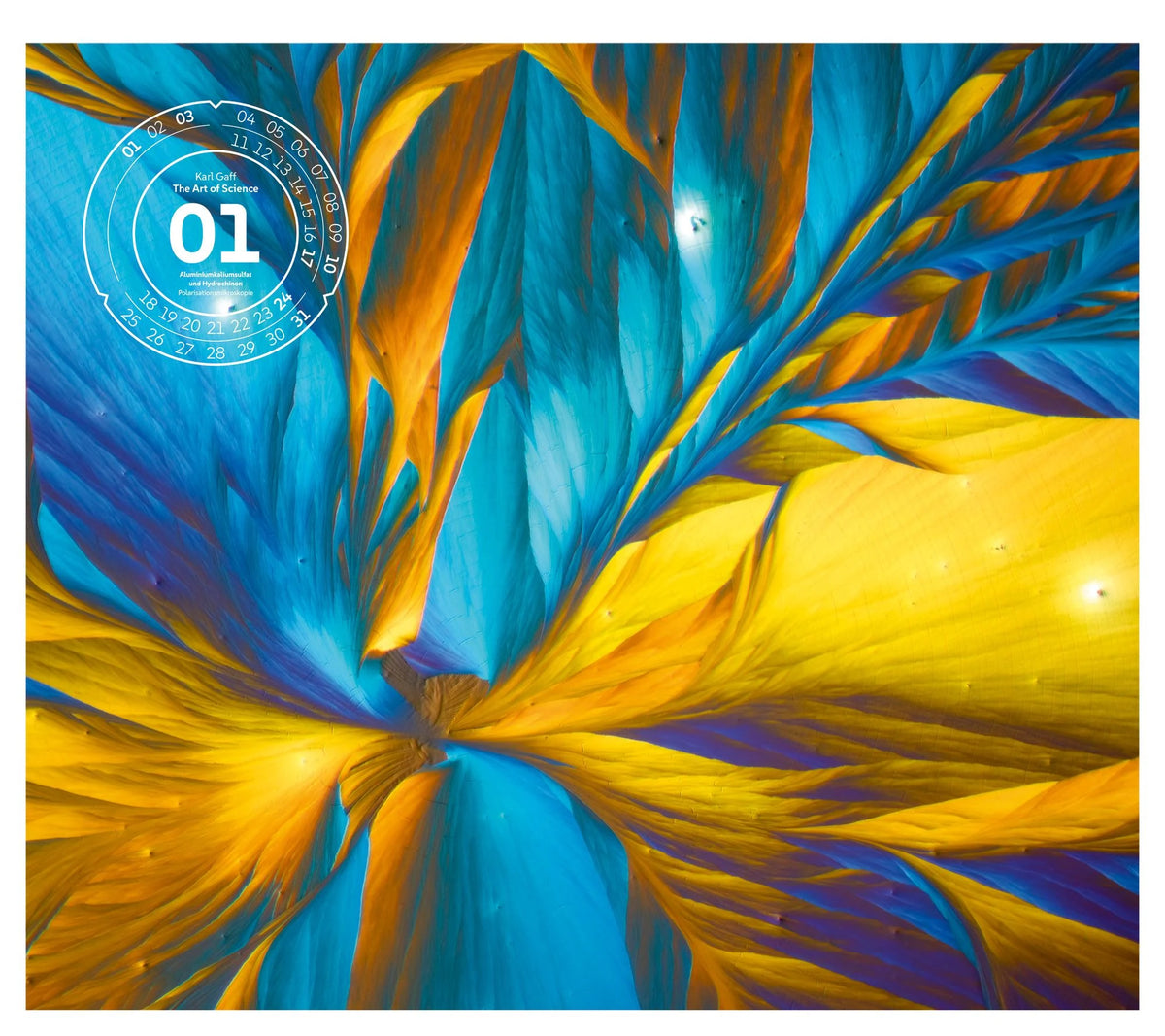 The Art of Science Kalender 2027 | Faszinierend-irisierende Mikroskopkunst – Ansicht