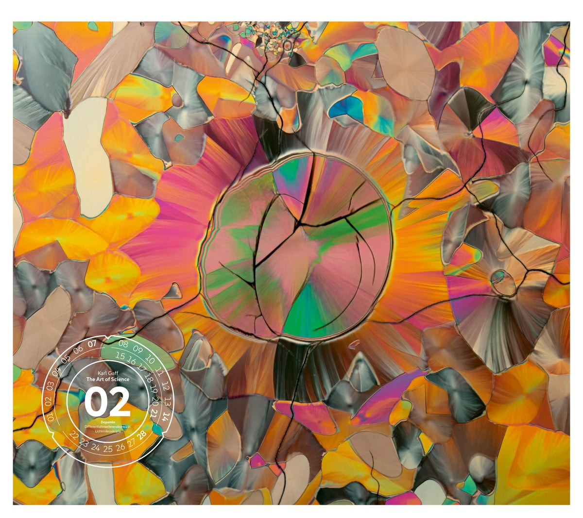 The Art of Science Kalender 2027 | Faszinierend-irisierende Mikroskopkunst – Ansicht