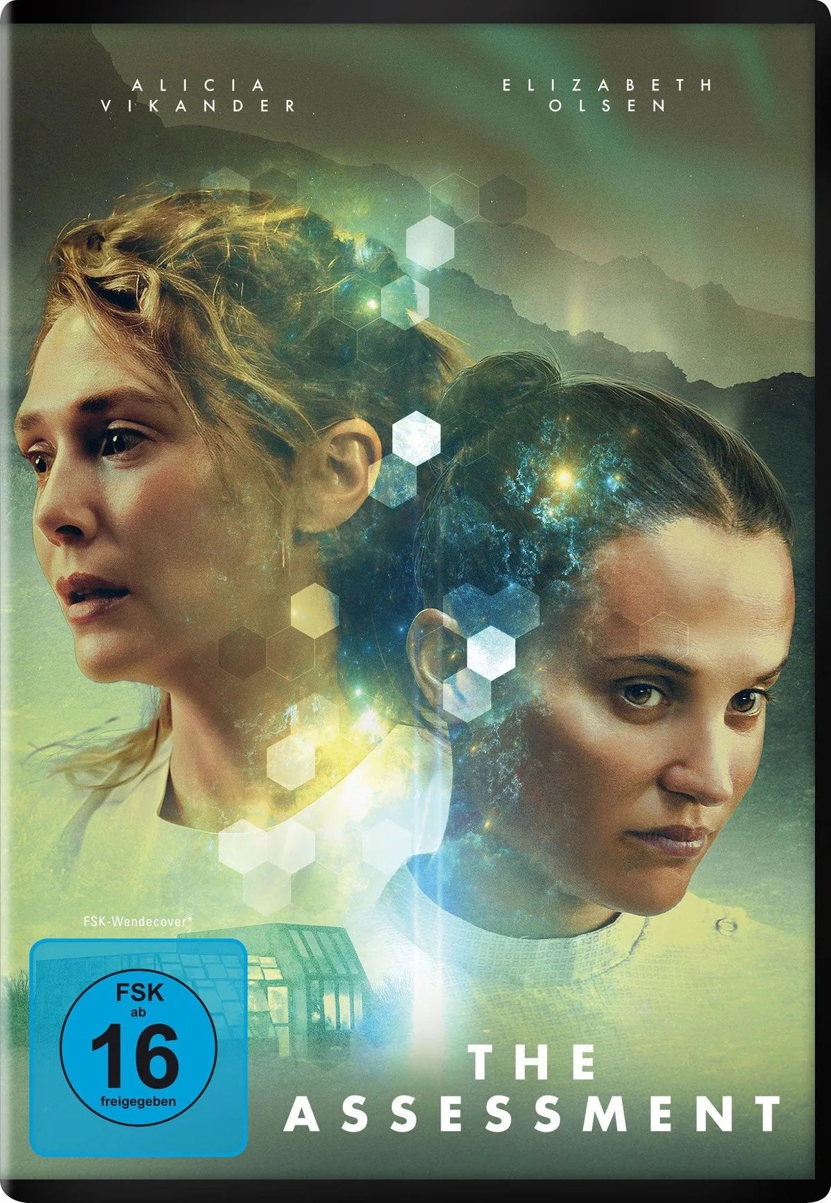 The Assessment - DVD