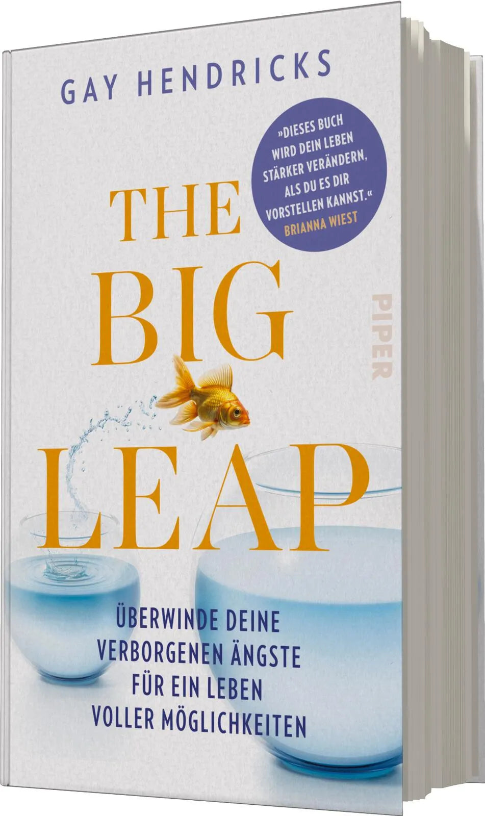 Gay Hendricks - The Big Leap