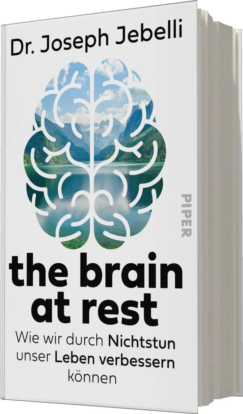 Joseph Jebelli - the brain at rest