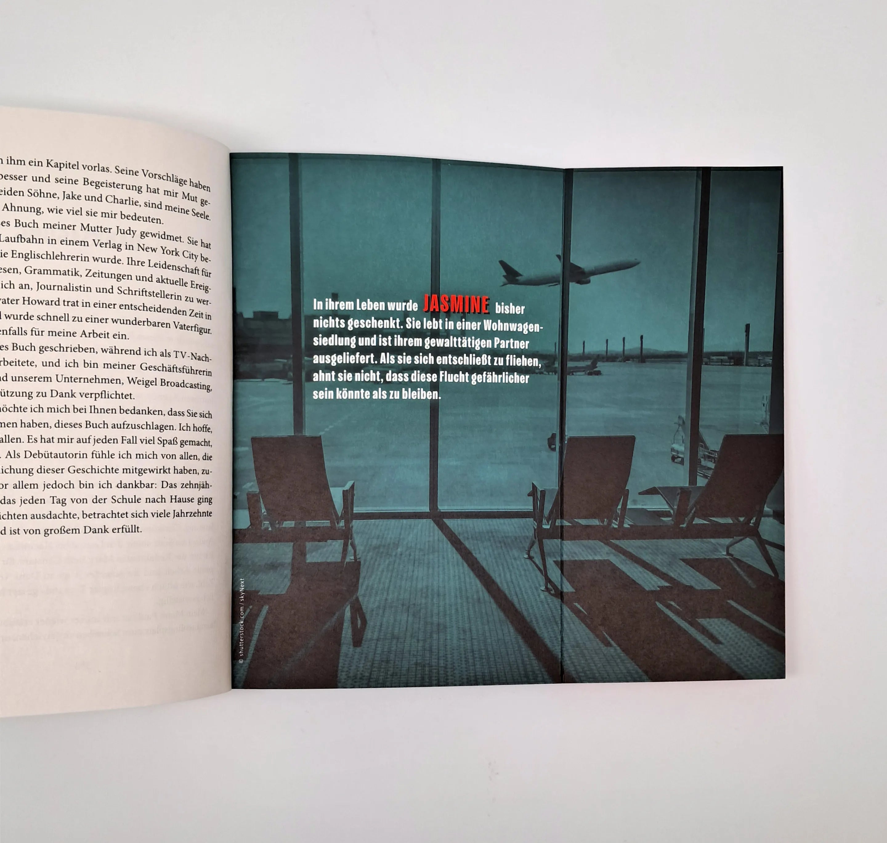Produktansicht: The Business Trip (Paperback)