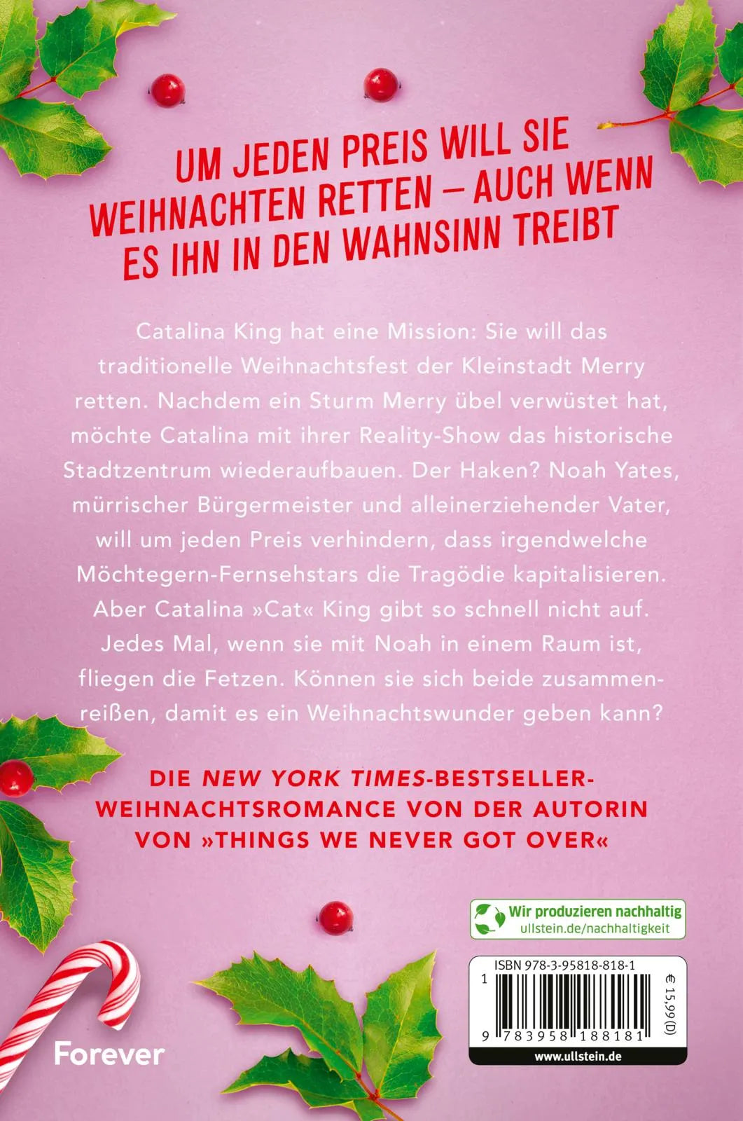 Buchrückseite von 'The Christmas Fix' mit Klappentext - Paperback