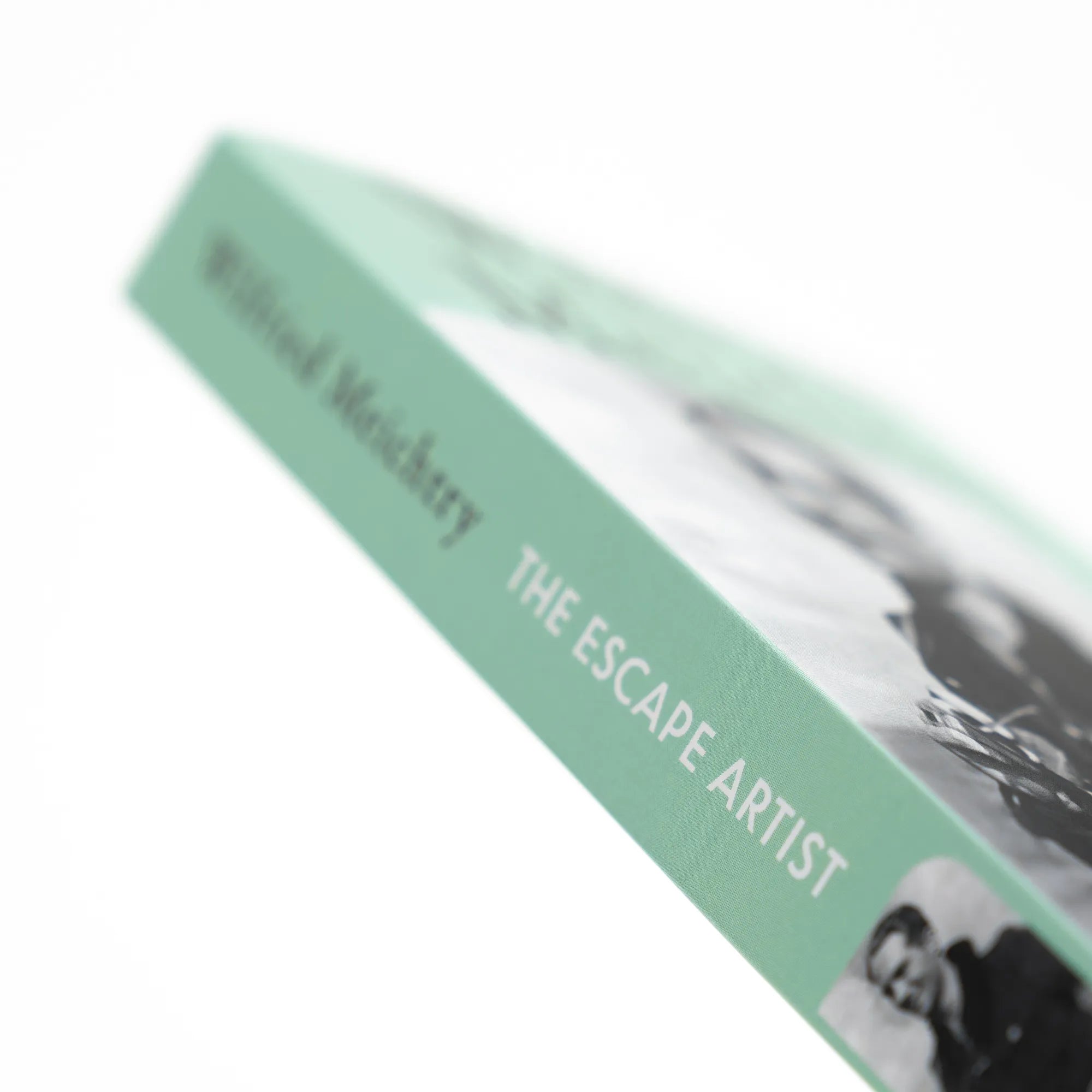 Detailansicht: The Escape Artist (Taschenbuch)
