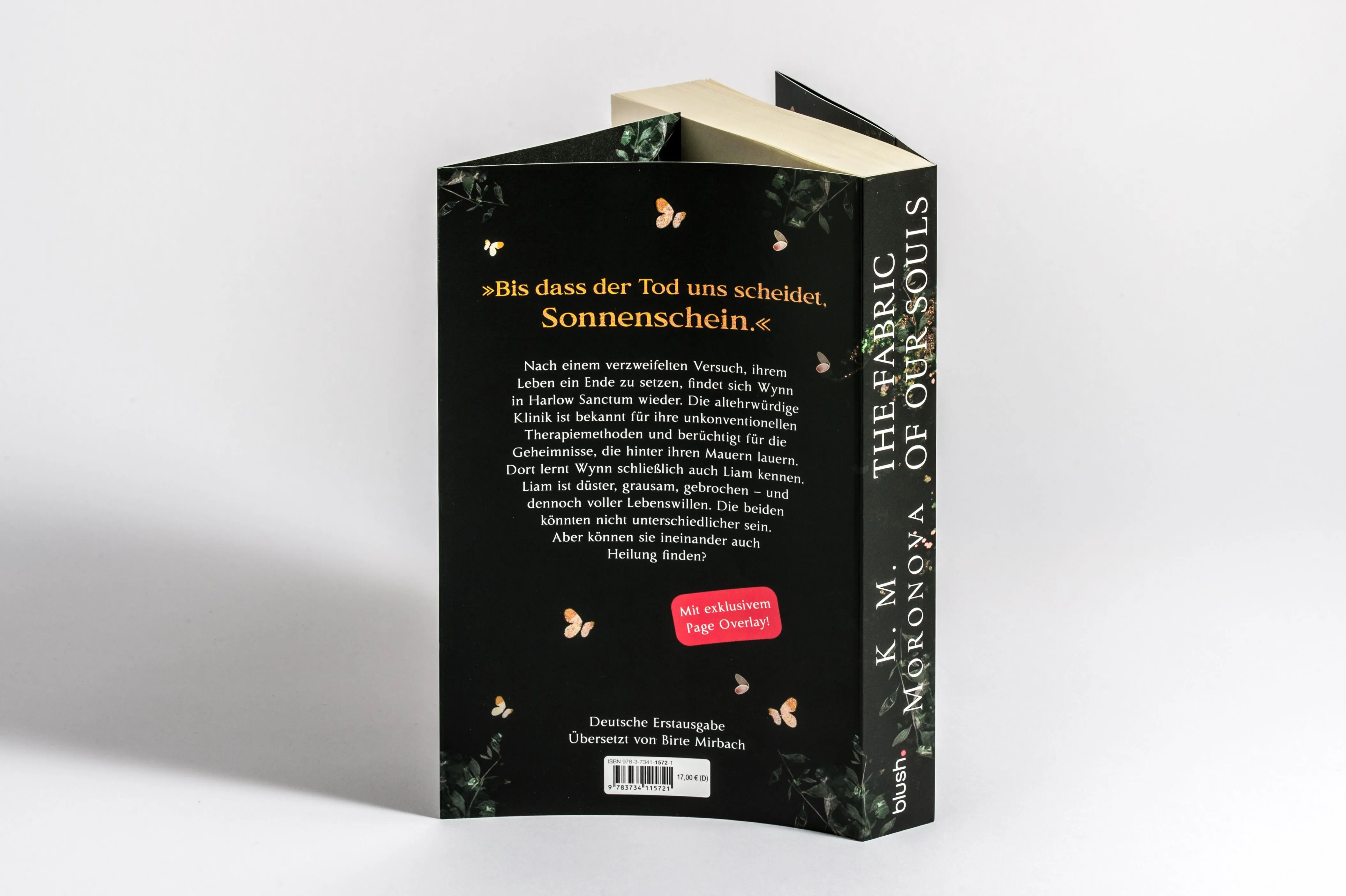 Detailansicht: The Fabric of Our Souls (Paperback)