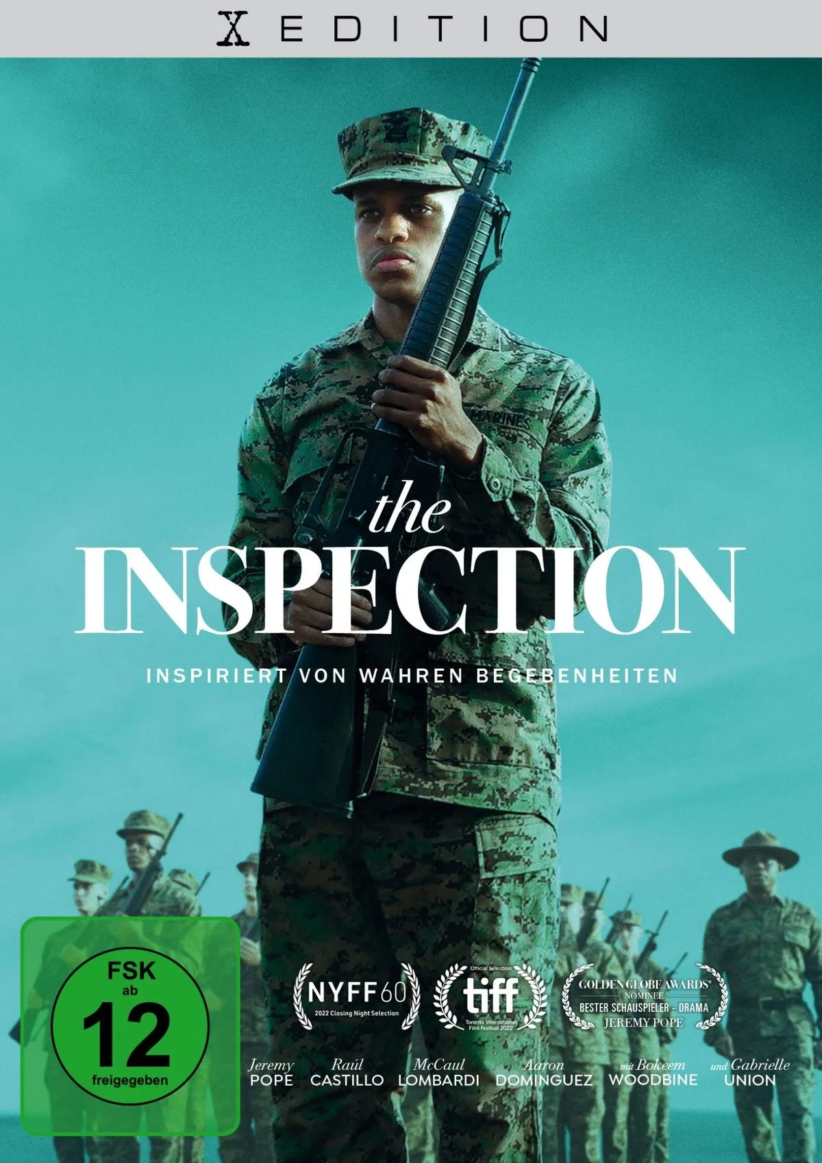The Inspection - DVD