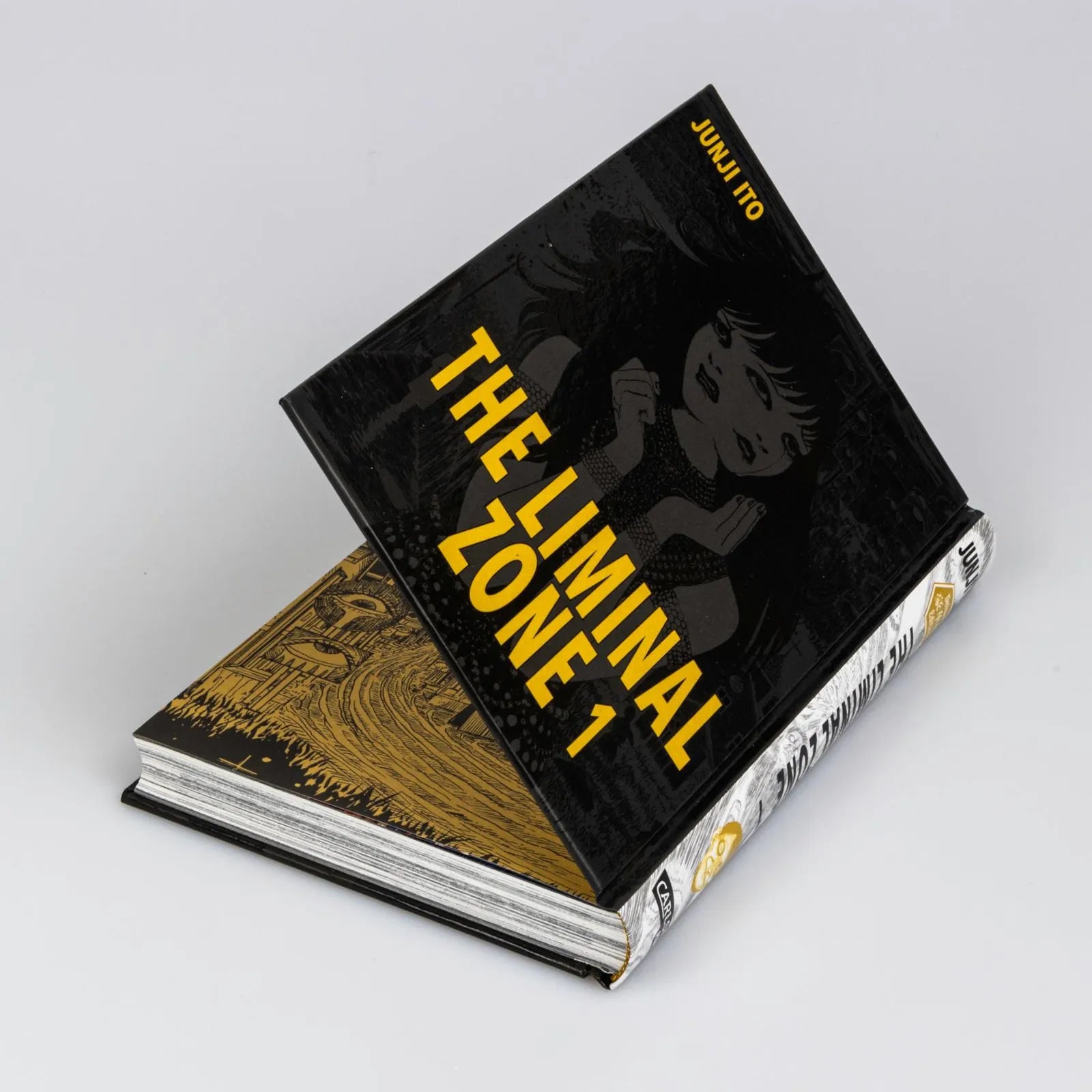 Detailansicht: The Liminal Zone 1 (Hardcover)
